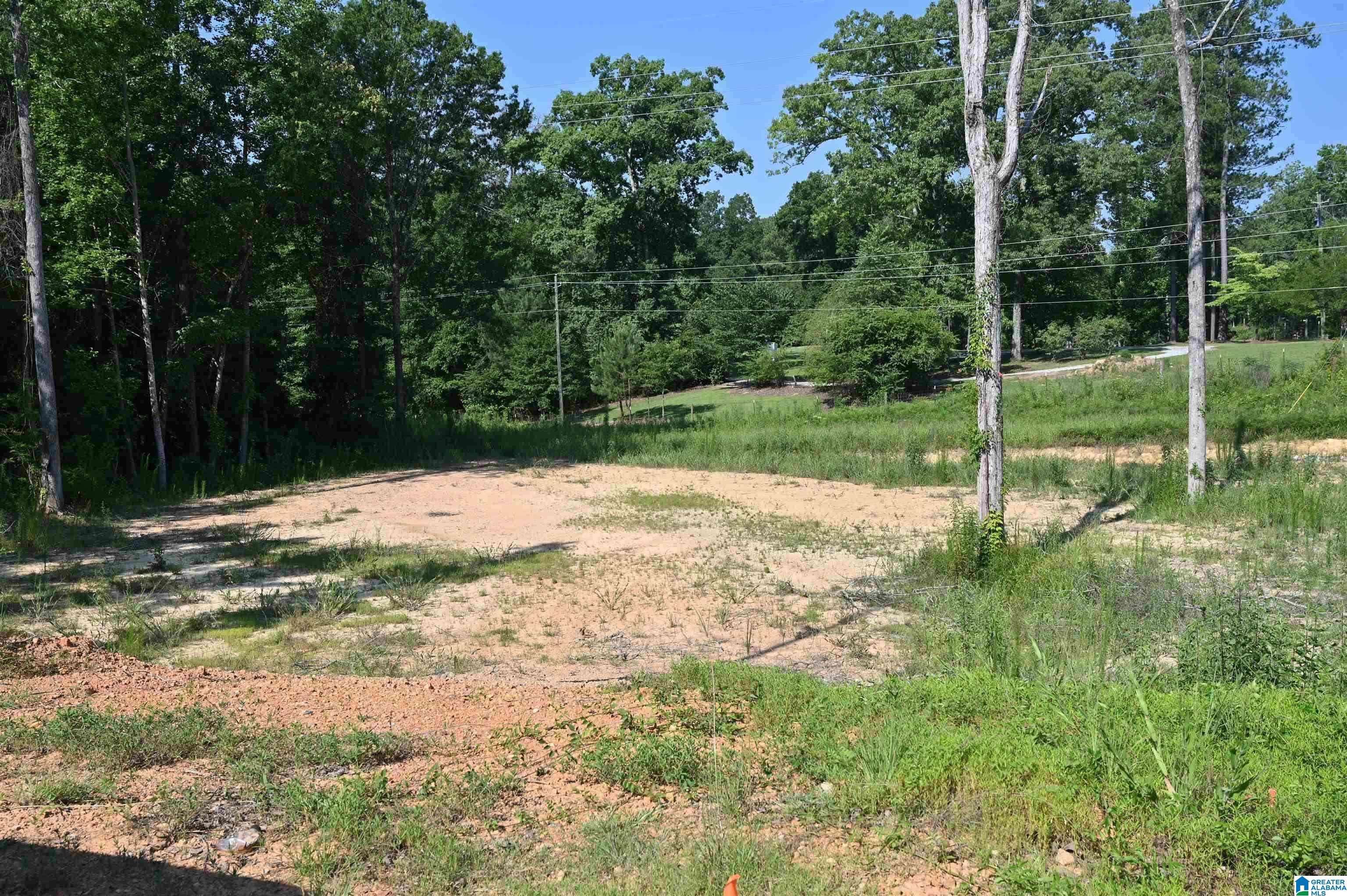 Westover, AL 35147,104 COTTAGE LANE #1