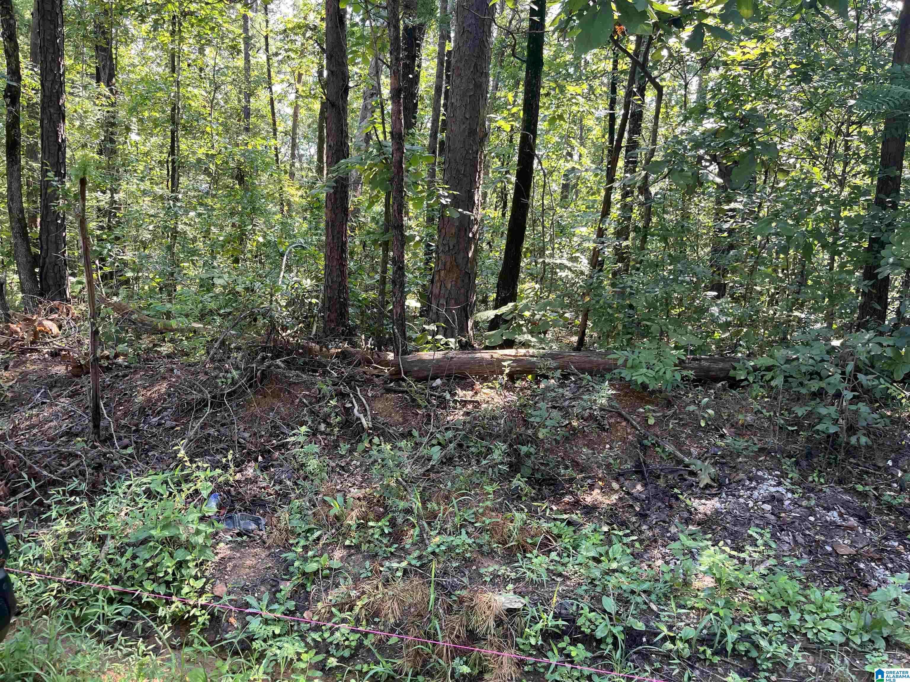 Mccalla, AL 35111,12745 CLYDE CIRCLE #5