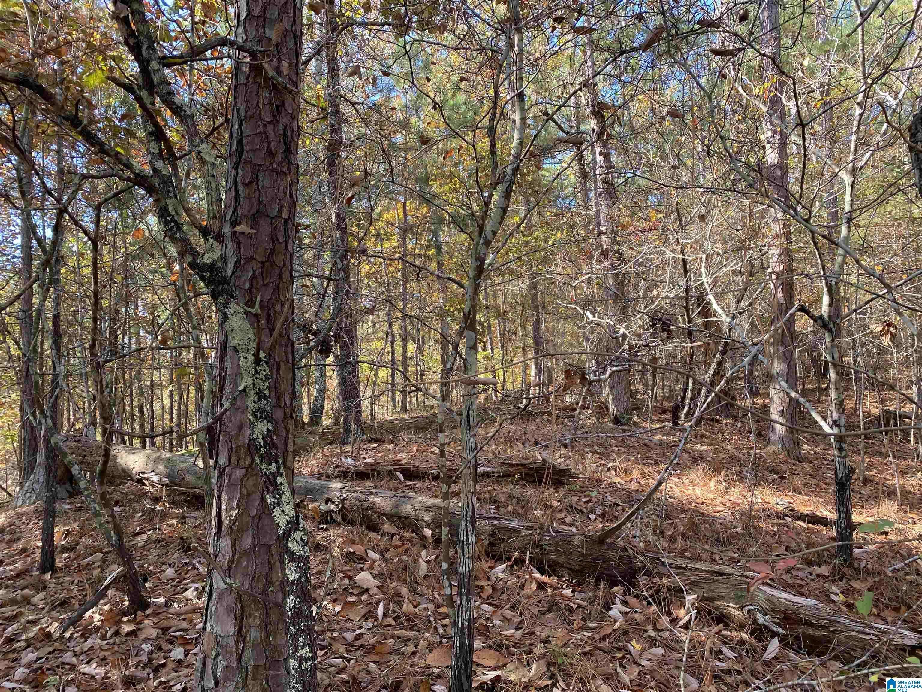 Columbiana, AL 35051,914 PARADISE POINT DRIVE #14
