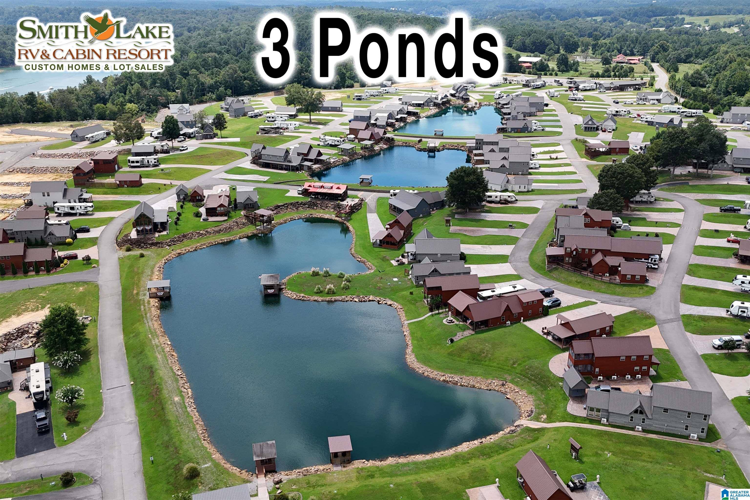 Crane Hill, AL 35053,24 COUNTY ROAD 2041 #198