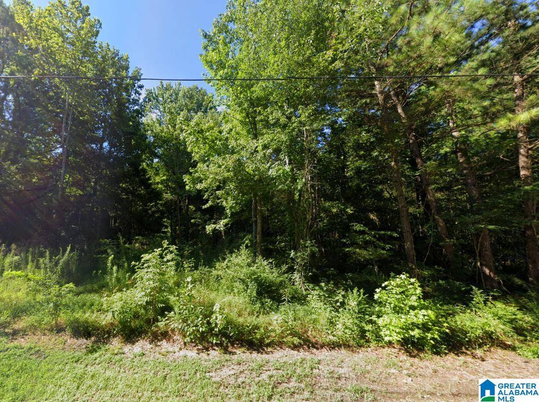 Ashville, AL 35953,0 LOOP ROAD #-