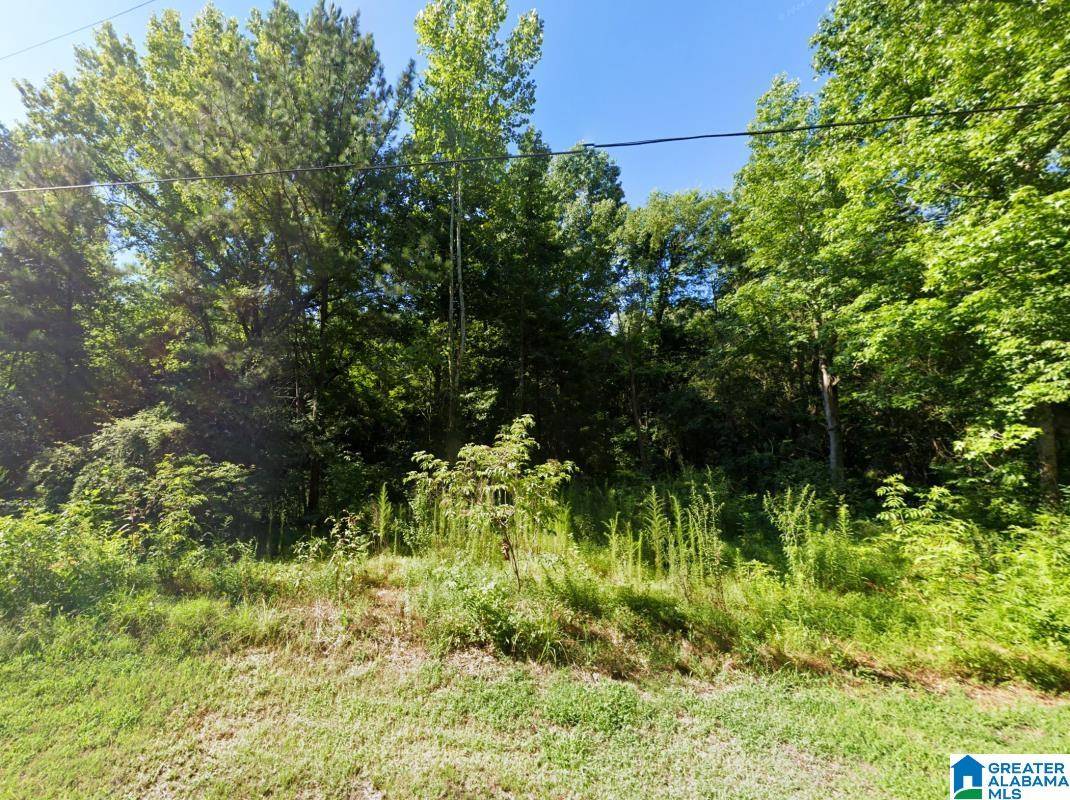 Ashville, AL 35953,0 LOOP ROAD #-