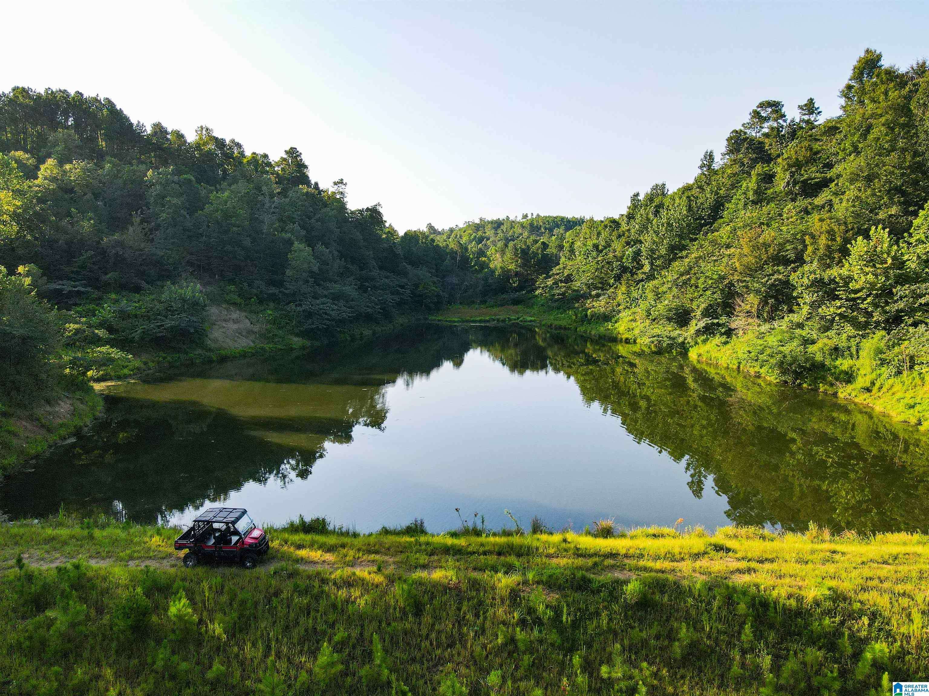 Empire, AL 35063,NoBusinessCreek PHILLIPS LANE #2103