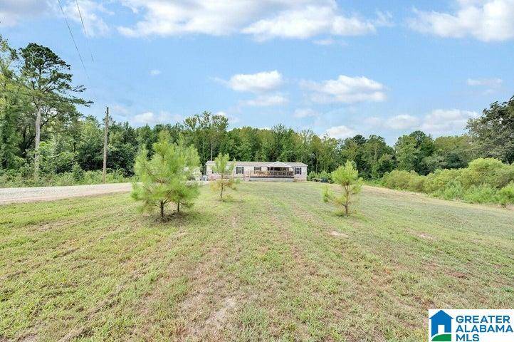 Nauvoo, AL 35578,12913 HIGHWAY 5