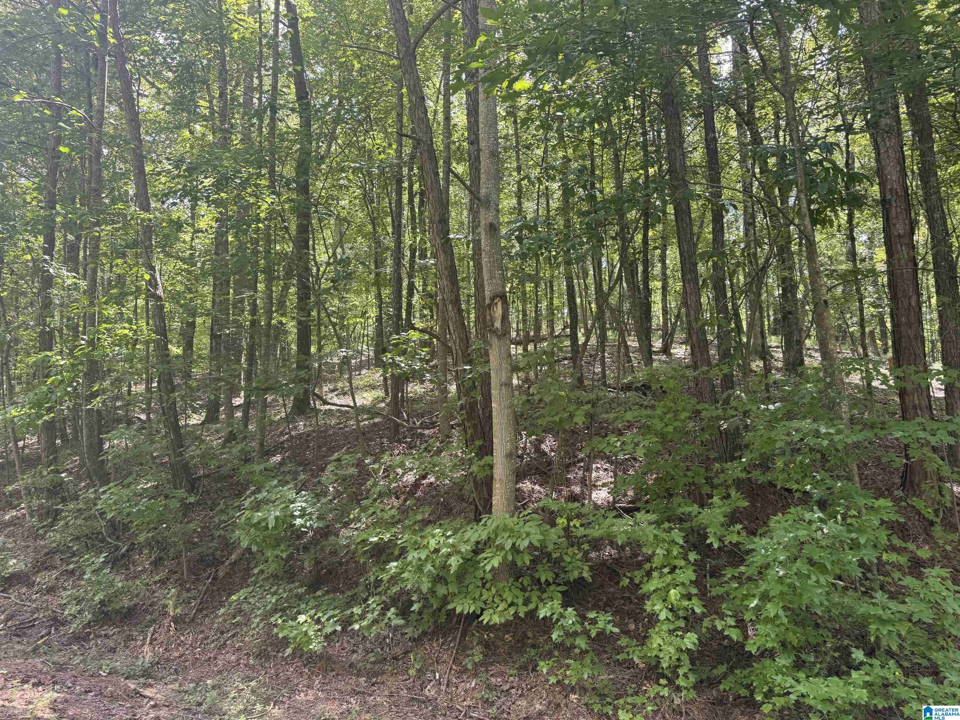 Ohatchee, AL 36271,85 MOHAWK COURT #22