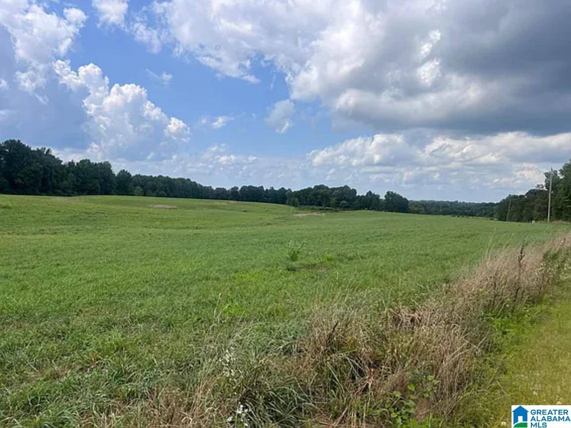 Ider, AL 35981,00 WOODLAND DRIVE #0