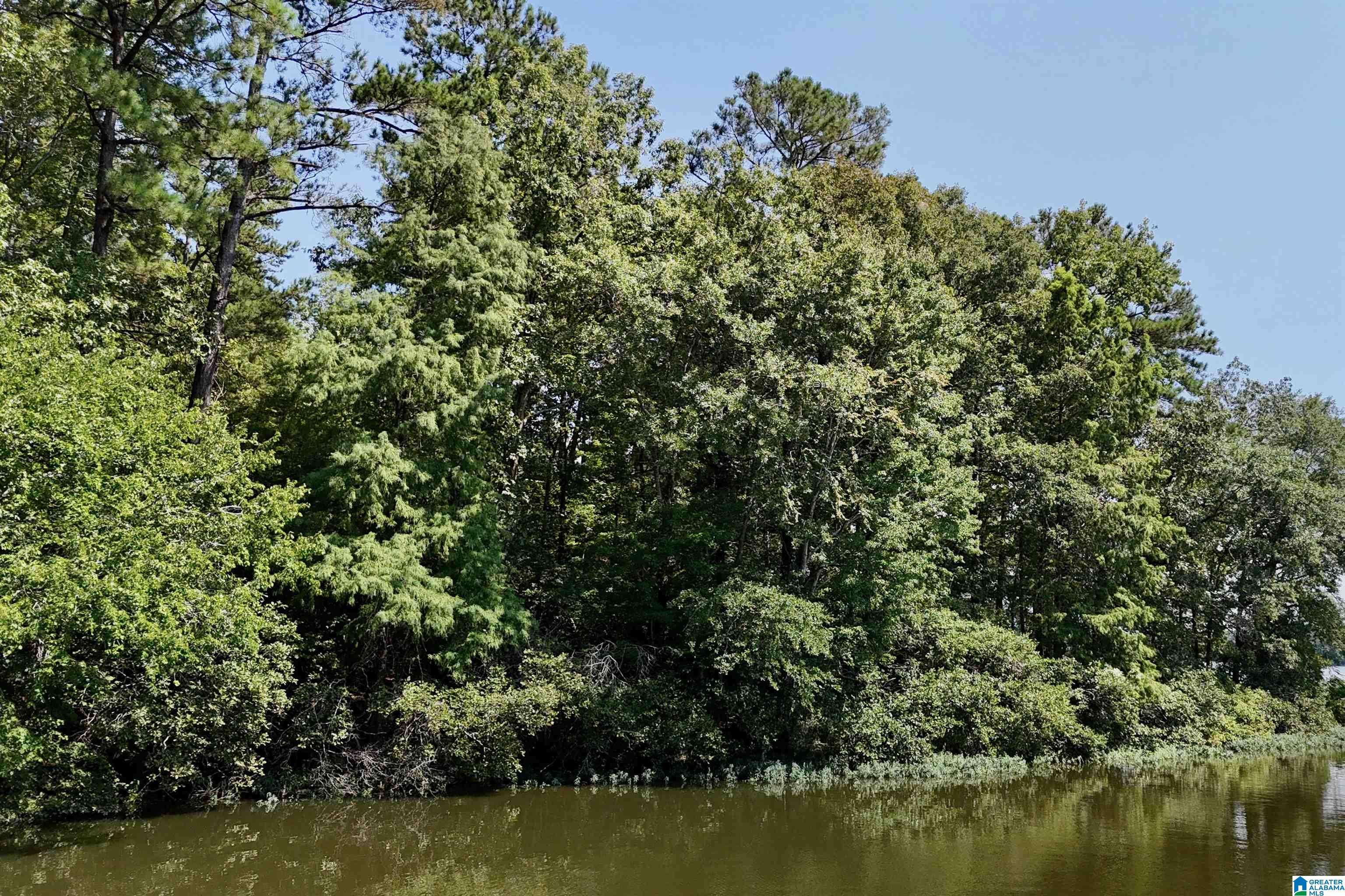 Sylacauga, AL 35151,STILLWATERS TRAIL #176