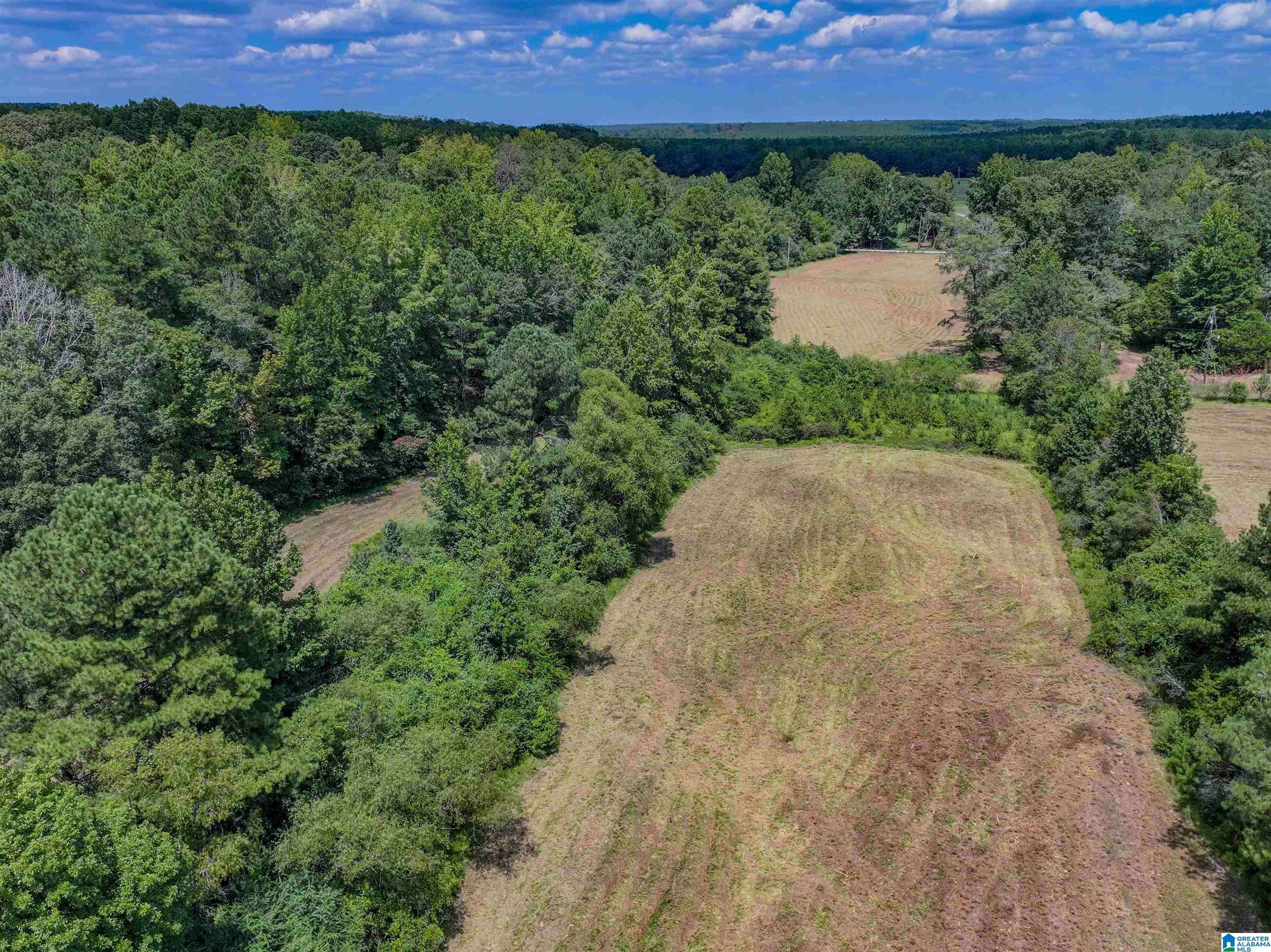 Vance, AL 35490,11643 CARTER ROAD #NA