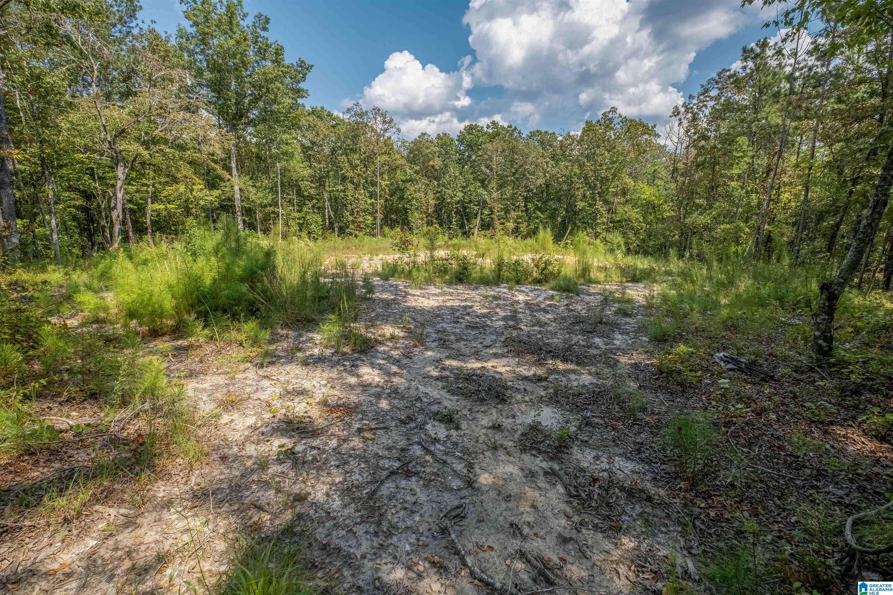 Delta, AL 36258,128 COUNTY ROAD 928 #14