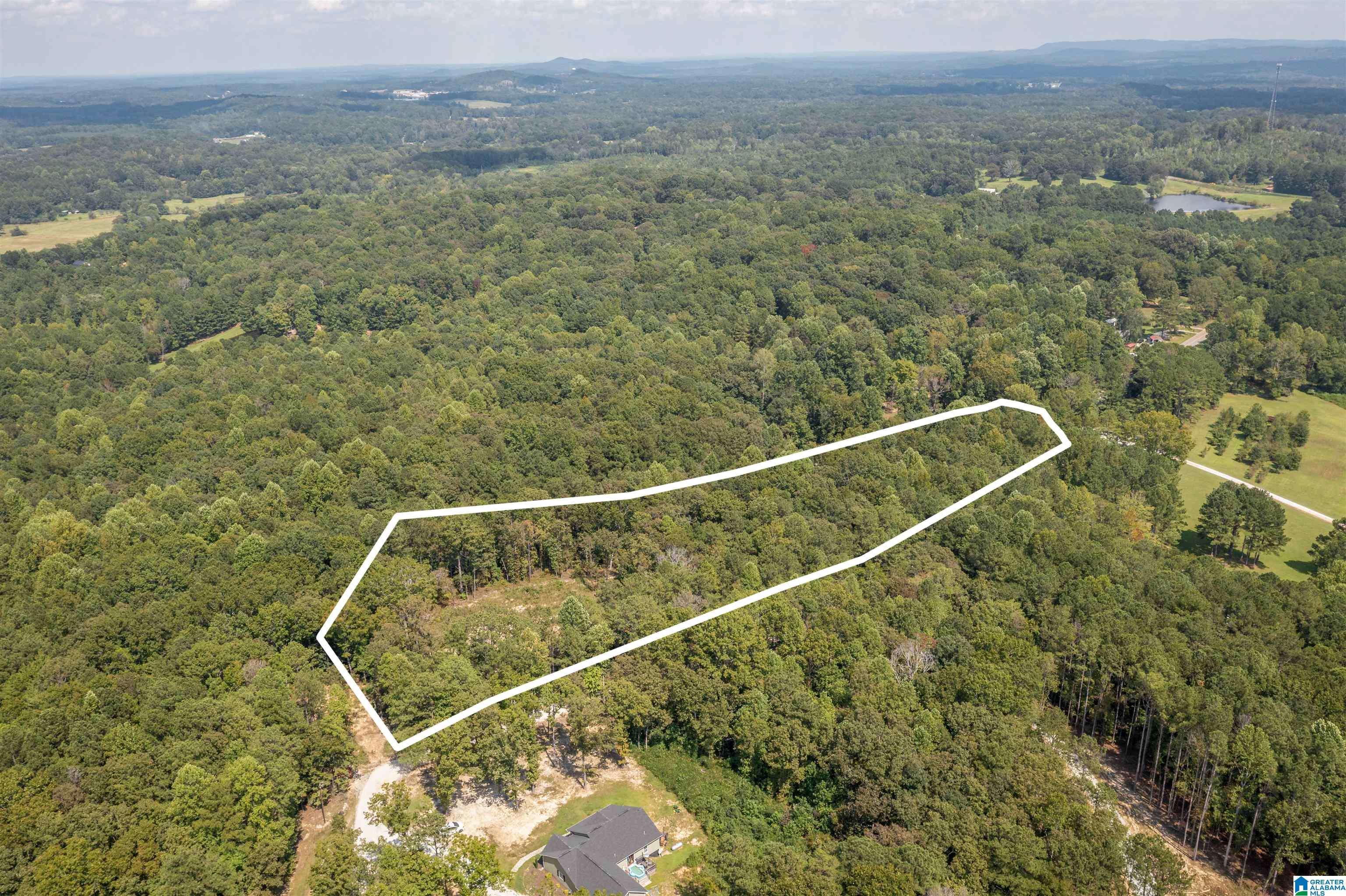 Delta, AL 36258,128 COUNTY ROAD 928 #14