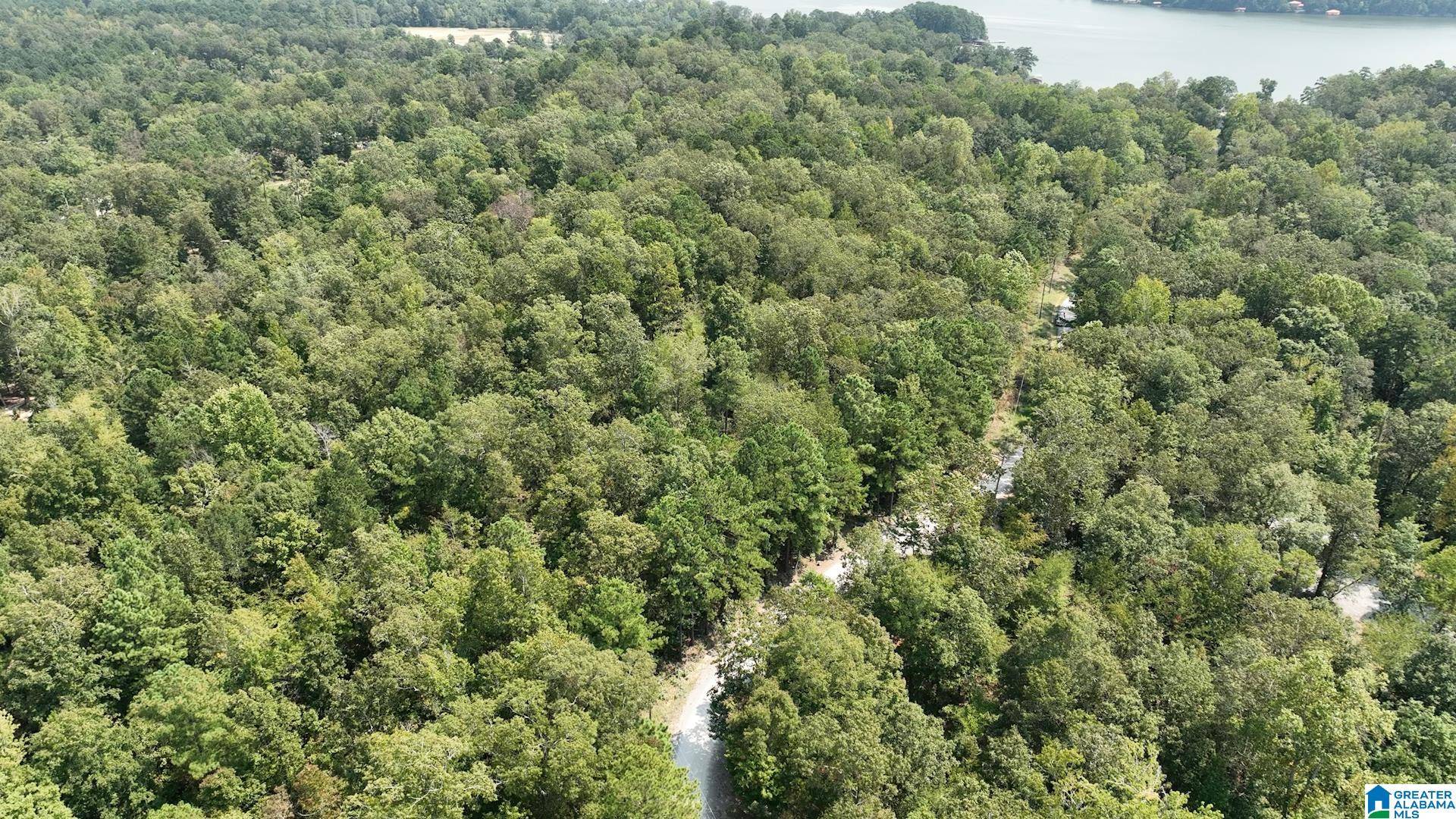 Ashville, AL 35953,0 GIBSON COVE DRIVE #7.10 Acres Plus . 58 ac Access Lot
