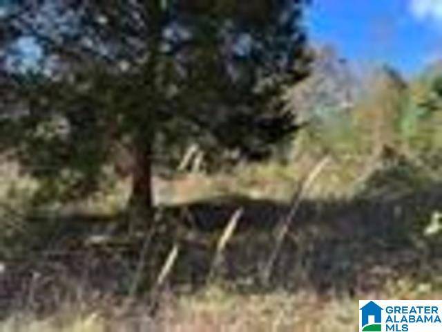 Heflin, AL 36264,580 COUNTY ROAD 209 #0