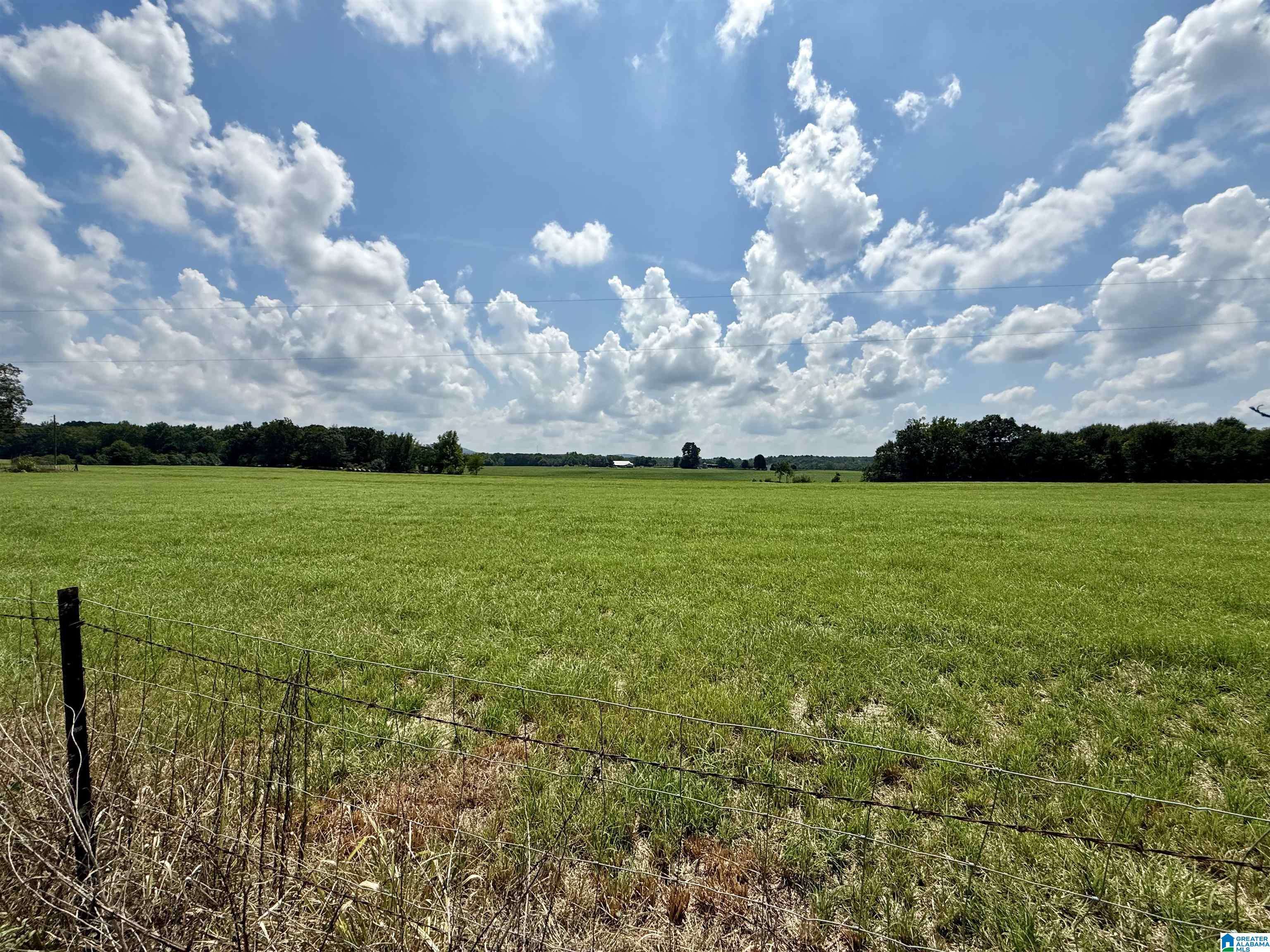 Blountsville, AL 35031,76 COUNTY HIGHWAY 10 #000