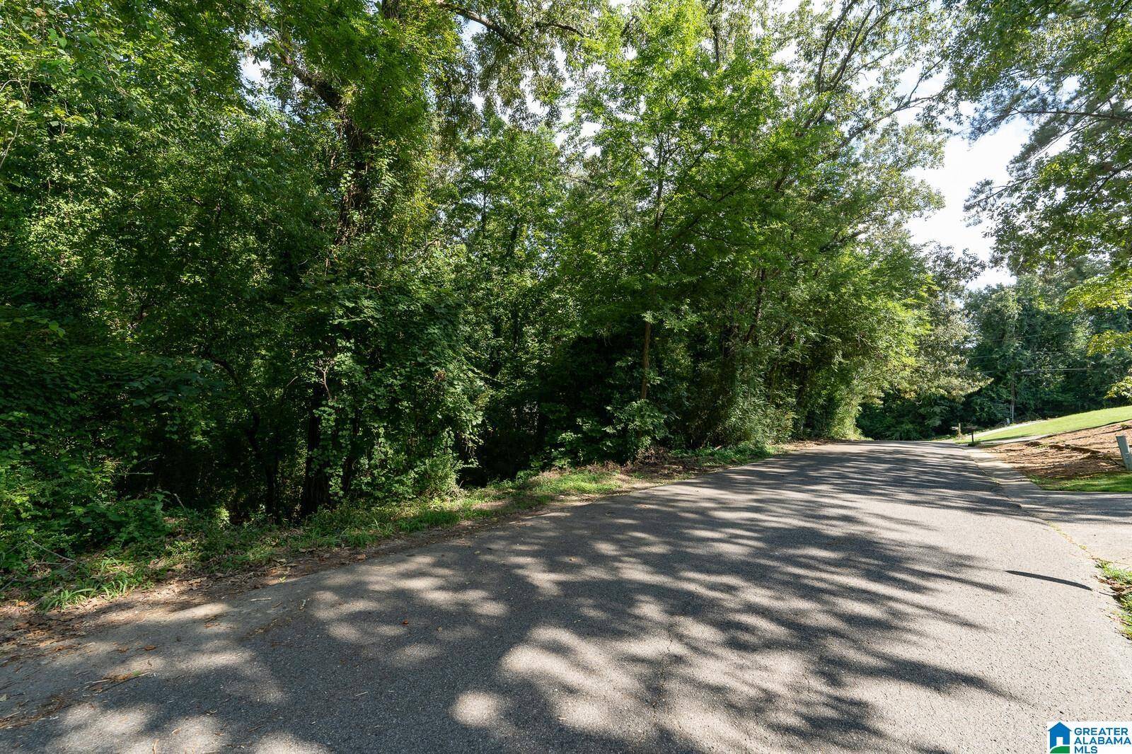 Hoover, AL 35226,0 MAYFLOWER DRIVE #23  & 24