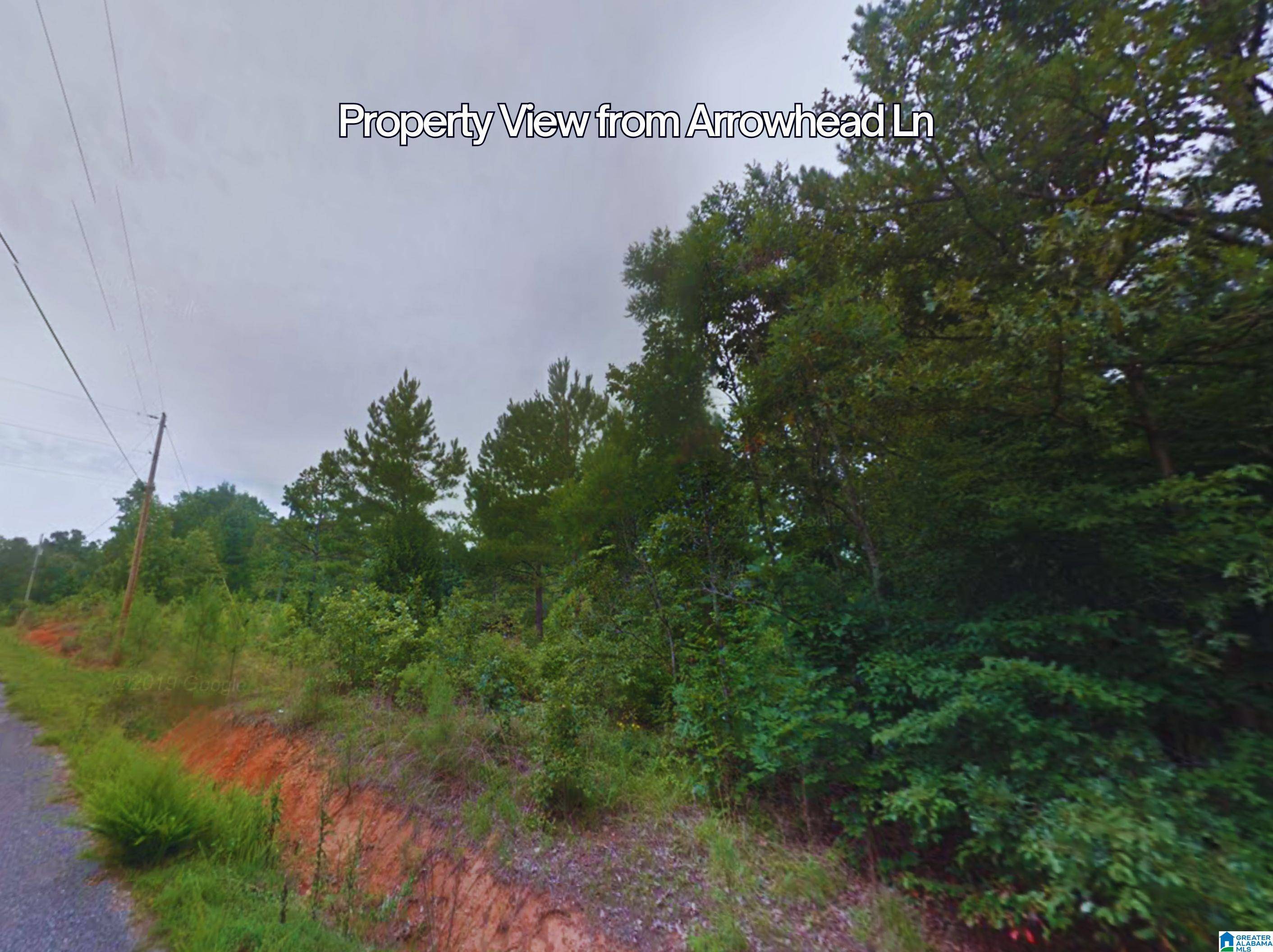 Talladega, AL 35160,0 ARROWHEAD LANE #Tt-1