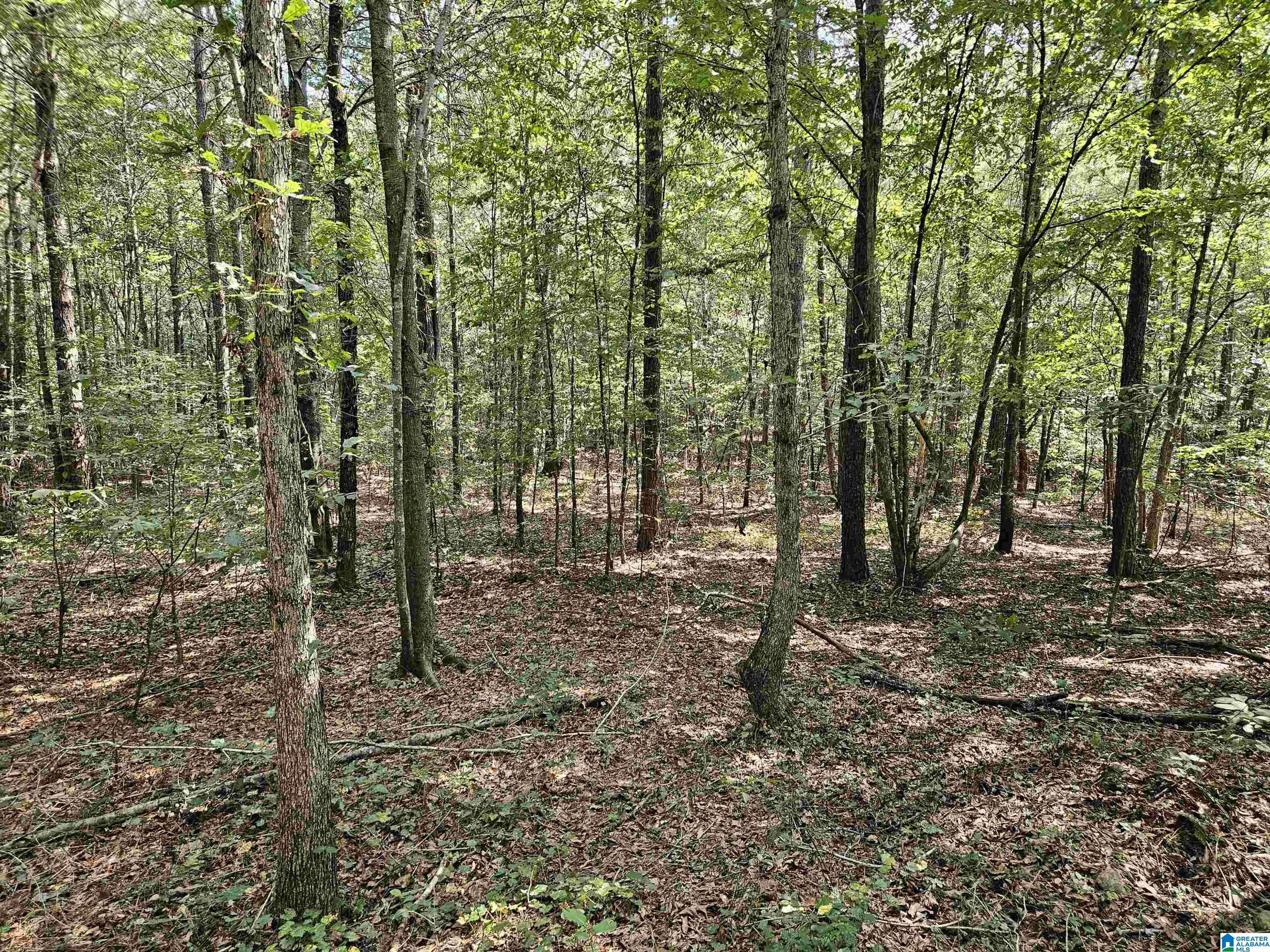 Gallant, AL 35972,PLEASANT VALLEY ROAD #0