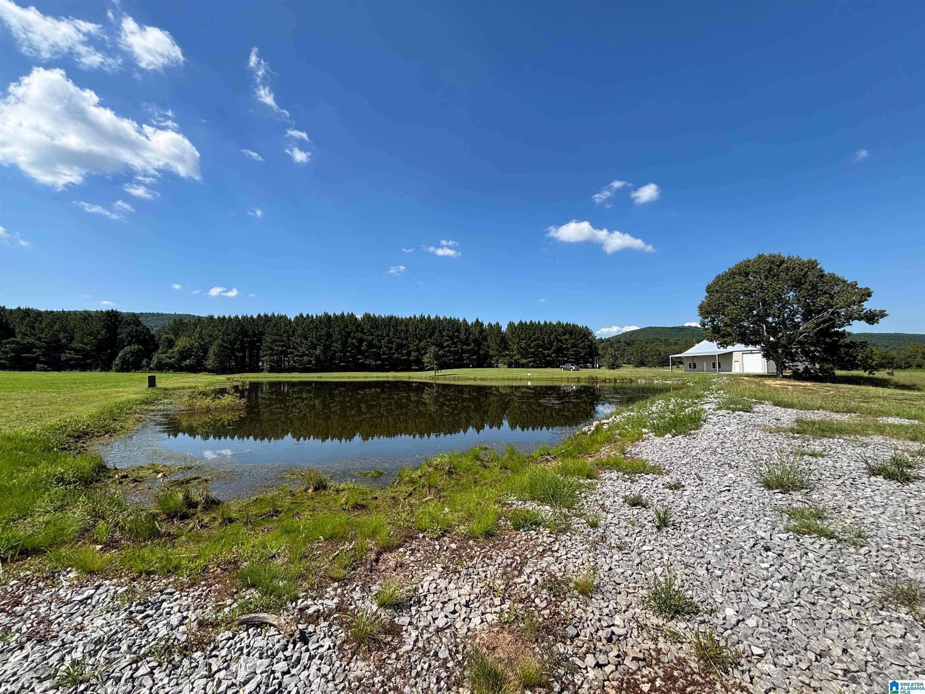 Ashville, AL 35953,6150 SHOAL CREEK ROAD #124+/- Acres