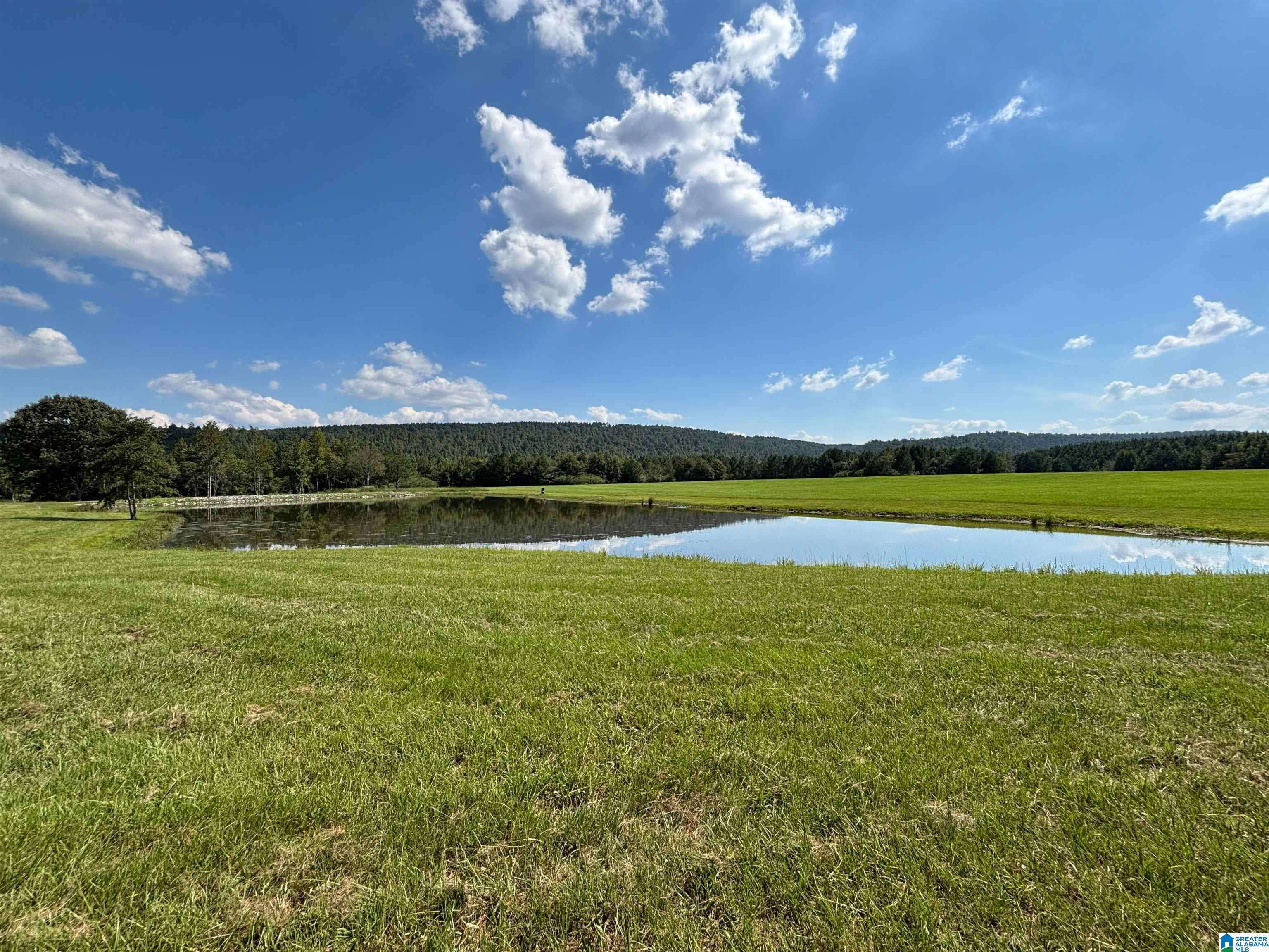 Ashville, AL 35953,6150 SHOAL CREEK ROAD #124+/- Acres