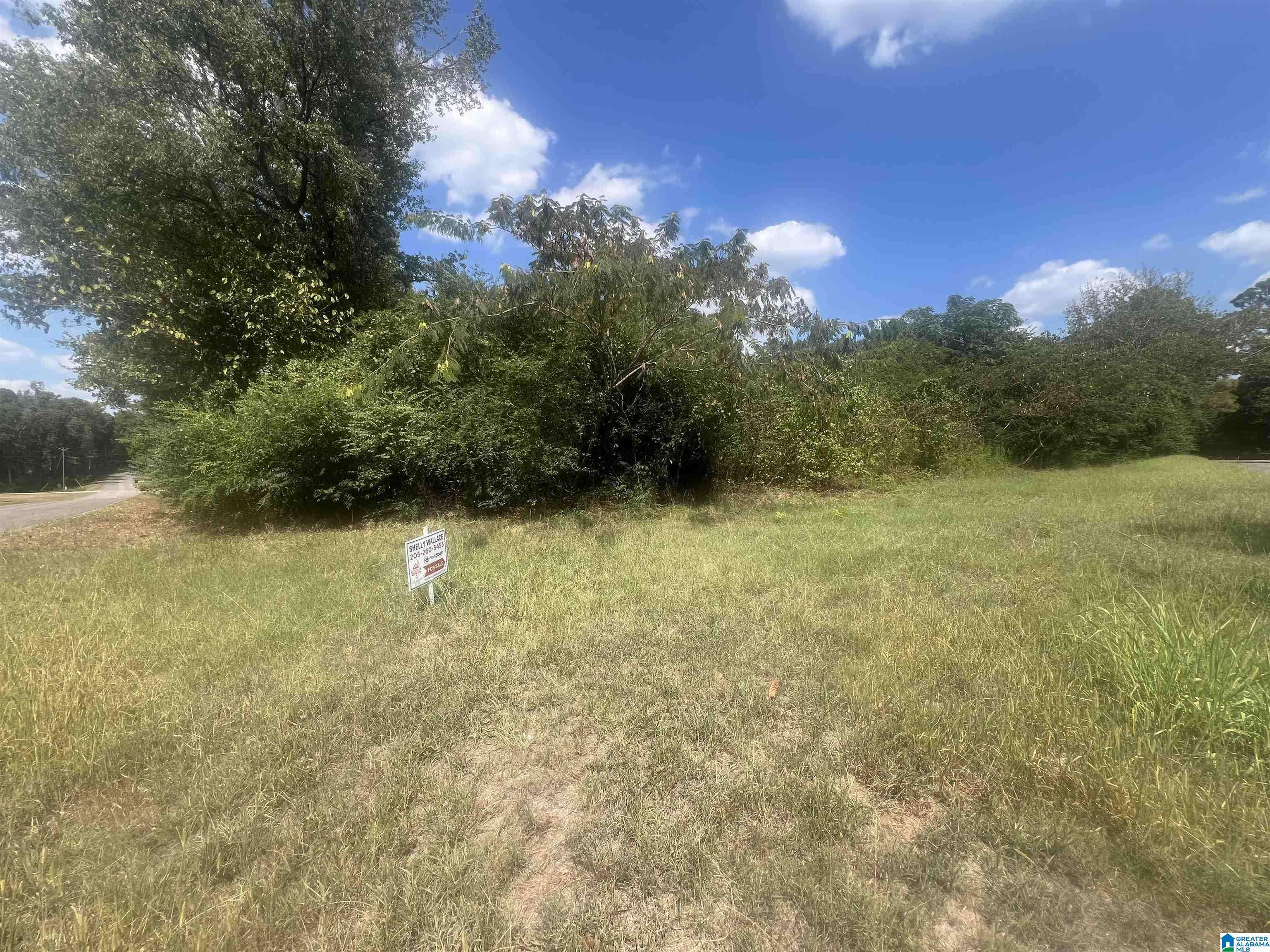 Adger, AL 35006,611 REDSTONE CAMP ROAD #0