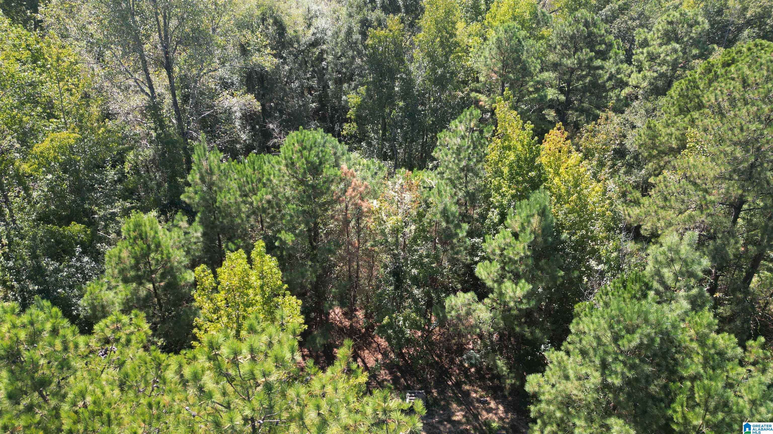 Maplesville, AL 36750,0 COUNTY ROAD 341 #1