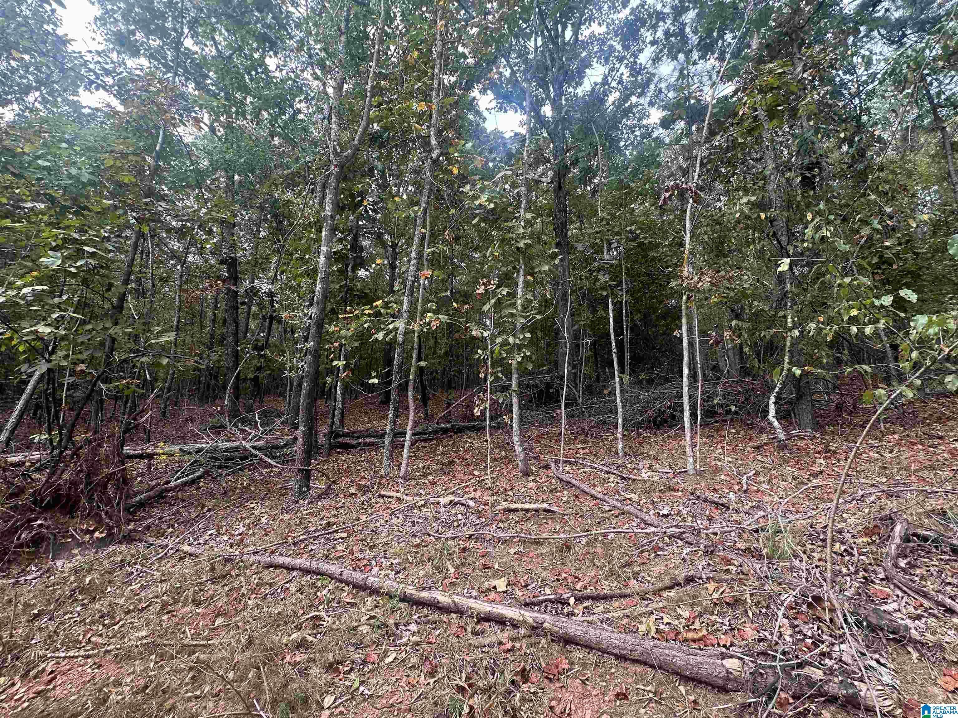 Delta, AL 36258,0 SMITH MILL ROAD #0