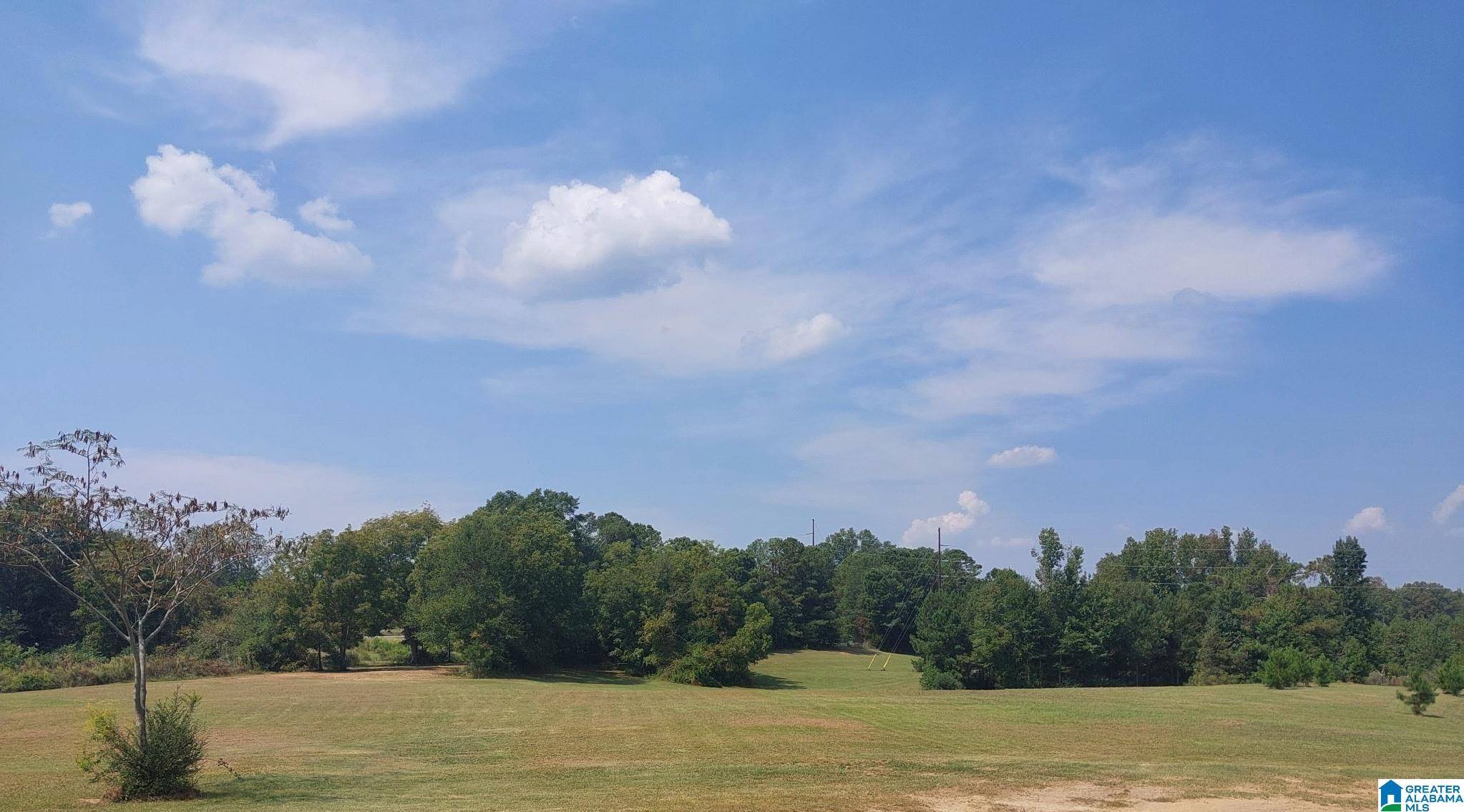 Thorsby, AL 35171,22248 HIGHWAY 31 #1