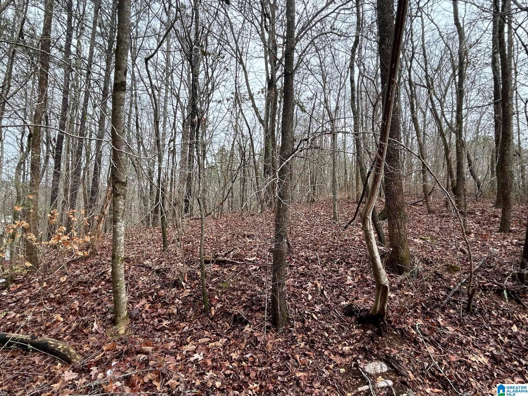 Wellington, AL 36279,1974 WEBSTERS CHAPEL ROAD #0