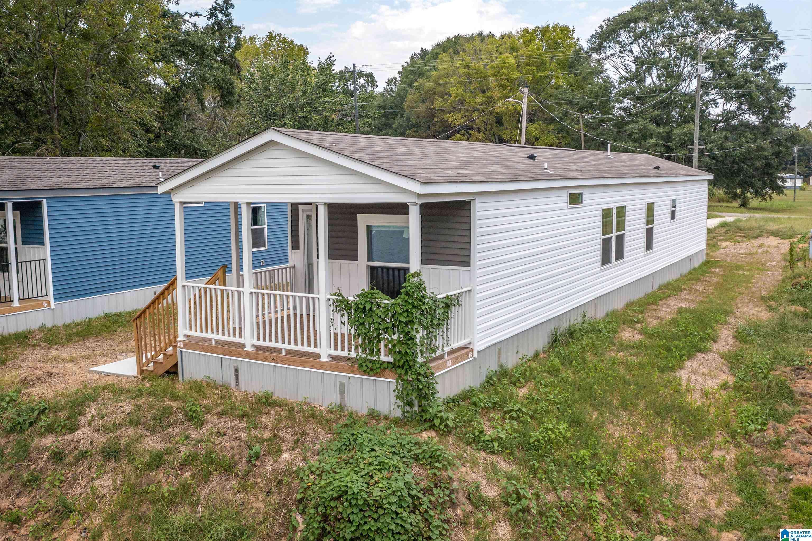 Lincoln, AL 35096,3007 BLUE EYE ROAD