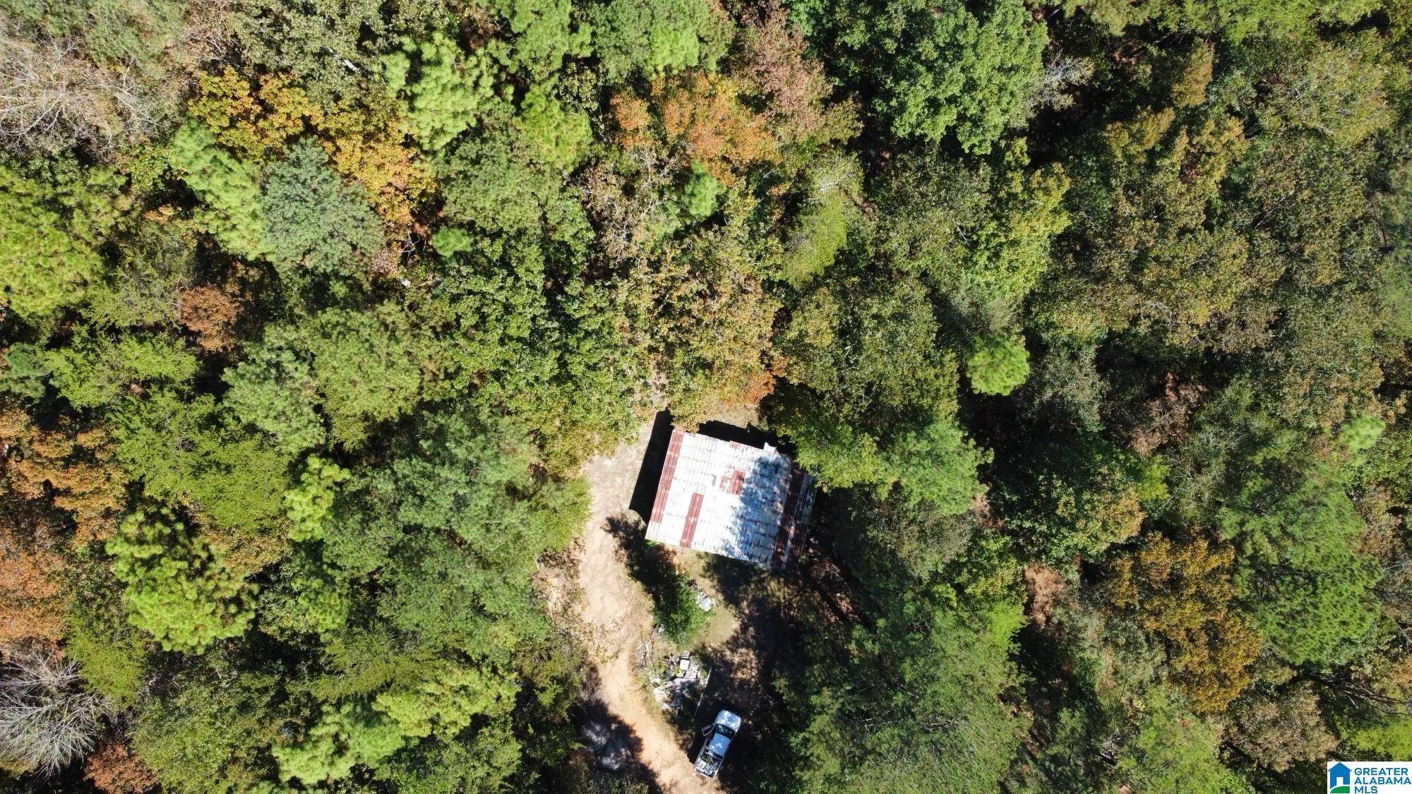 Helena, AL 35080,1681 HIGHWAY 93 #1