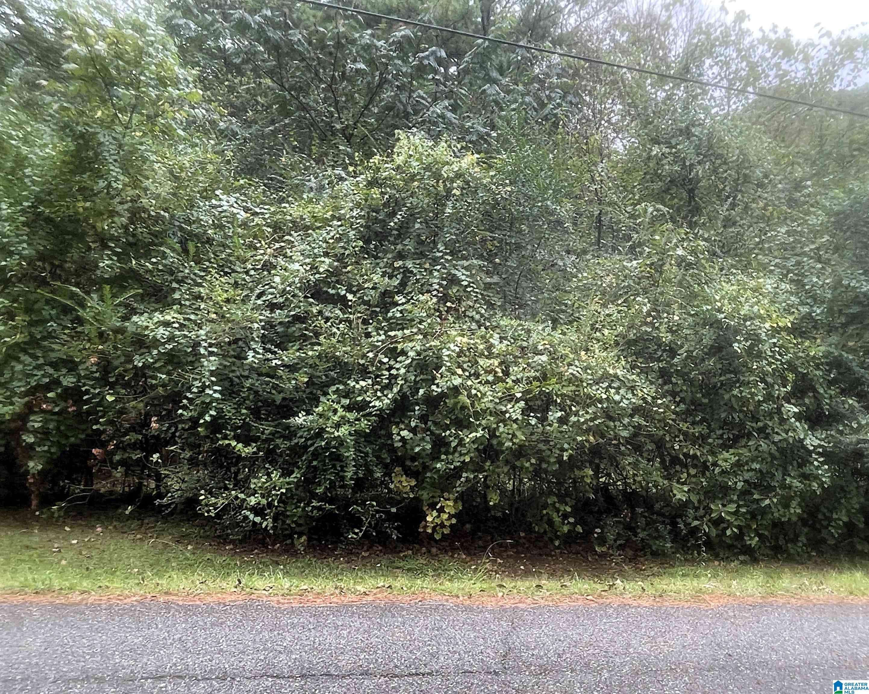 Pinson, AL 35126,6838 OAK LEAF LANE #6838