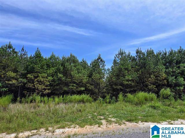 Double Springs, AL 35553,241 SHORESIDE DRIVE #66