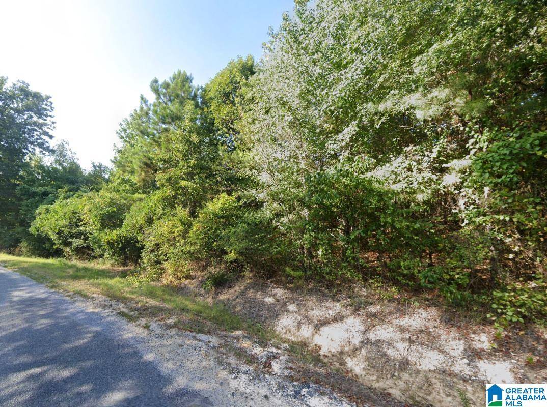 Leesburg, AL 35983,COUNTY ROAD 70 #-