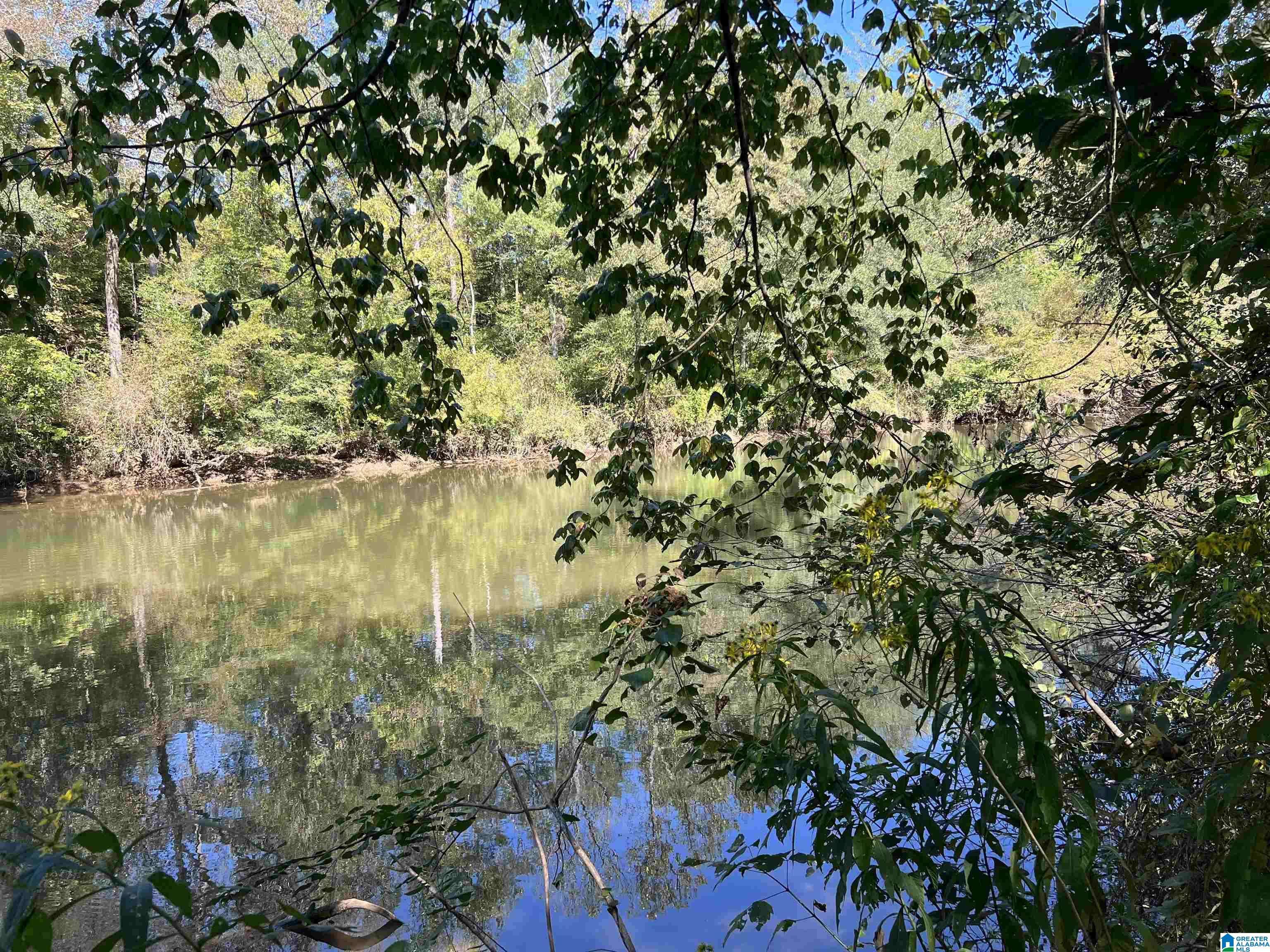 Munford, AL 36268,48 RAINWATER LANE