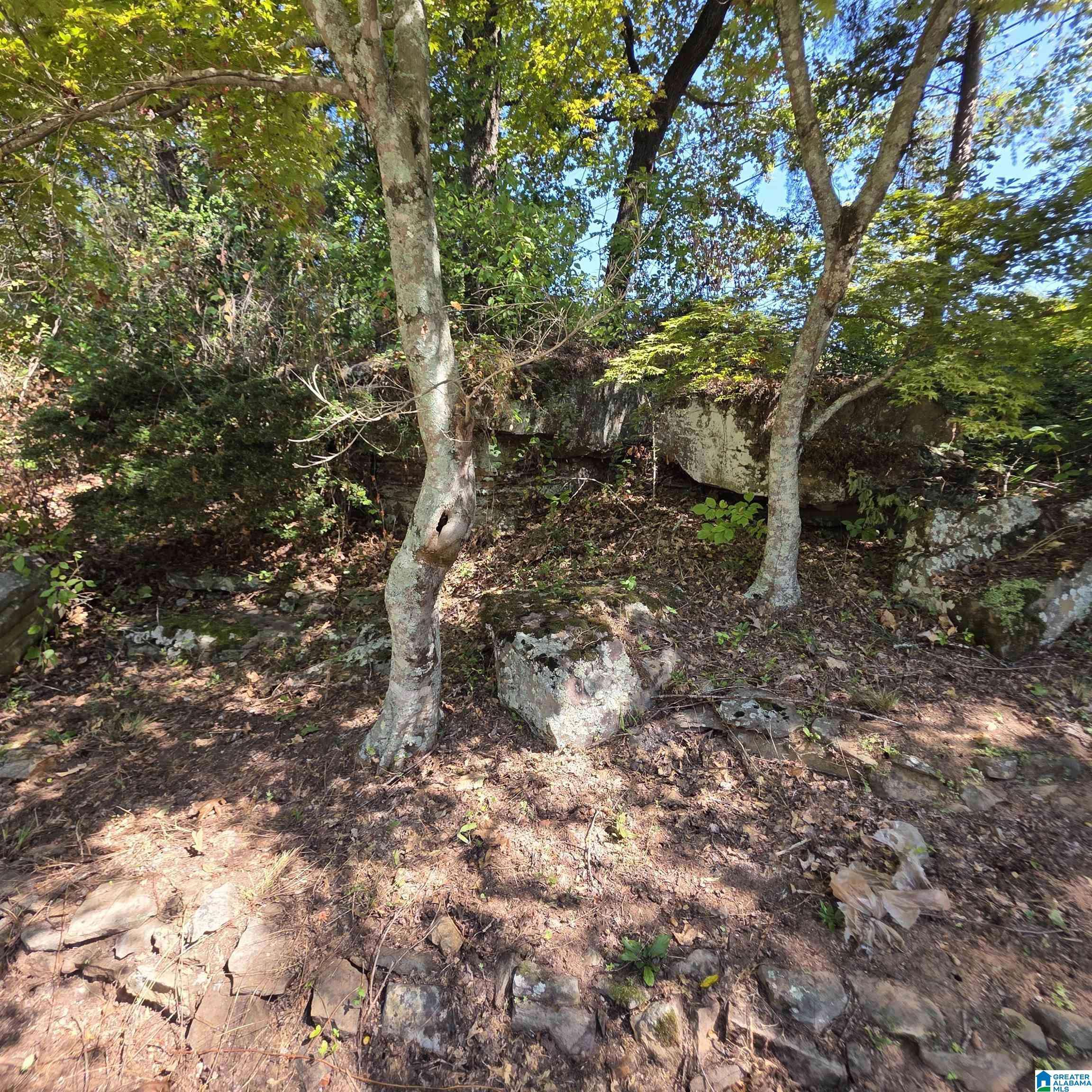 Vestavia Hills, AL 35216,1752 SHADES CREST ROAD