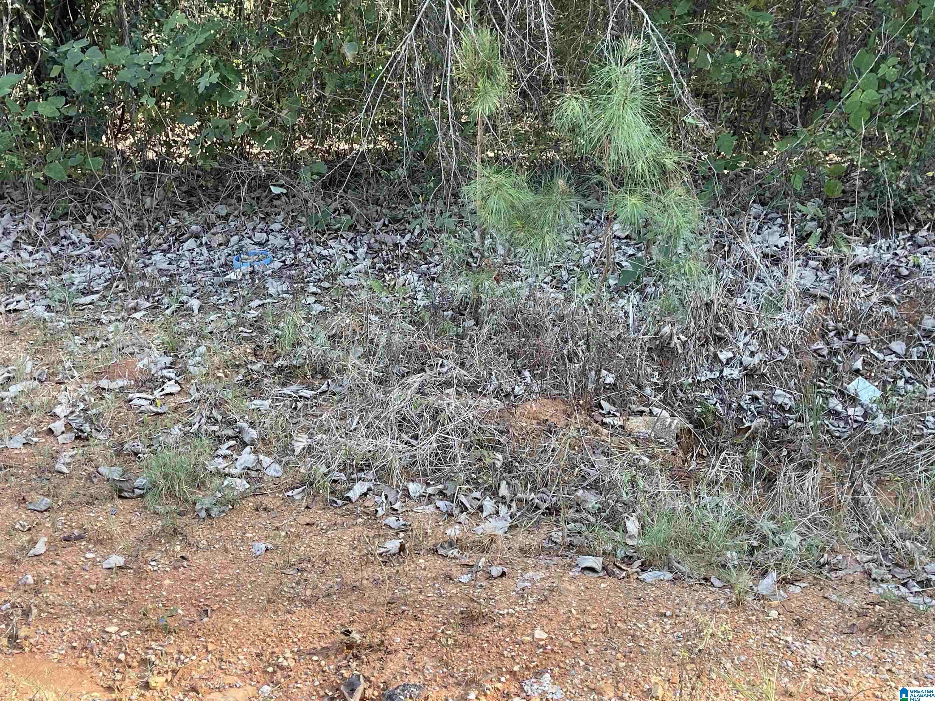 Talladega, AL 35160,0 HOWELL COVE ROAD #12.45 ACRES