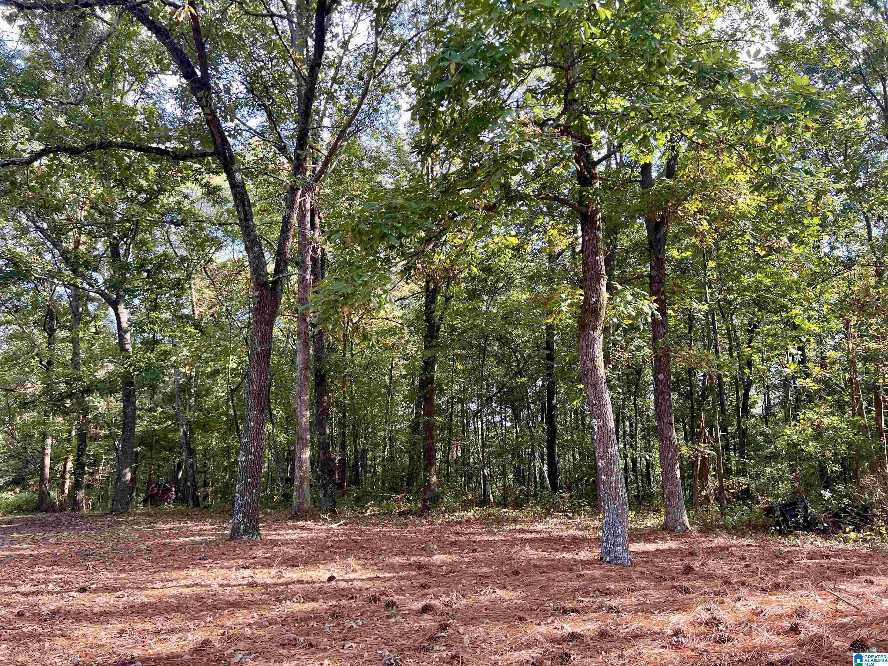 Graham, AL 36263,lot8 COUNTY ROAD 92 #Lot 8
