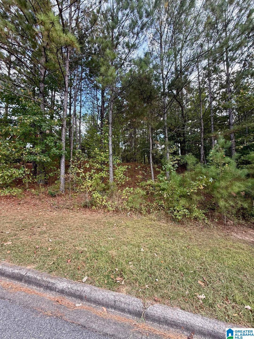 Chelsea, AL 35043,325 DEER RIDGE LANE #29