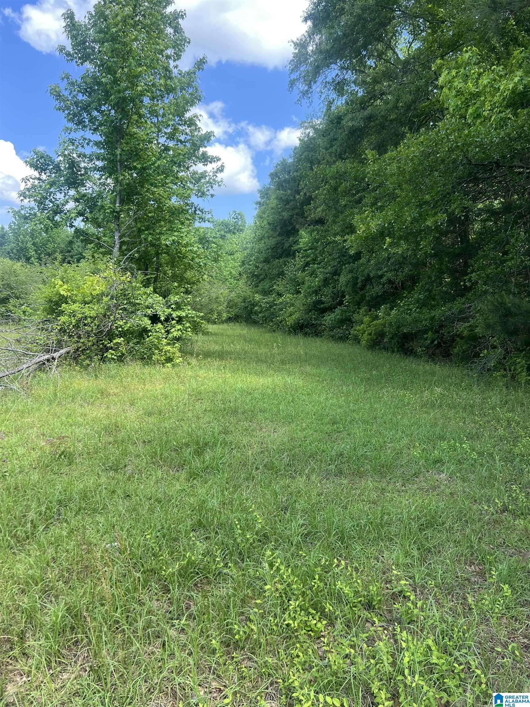 Clanton, AL 35045,0 HOPEWELL DRIVE #0