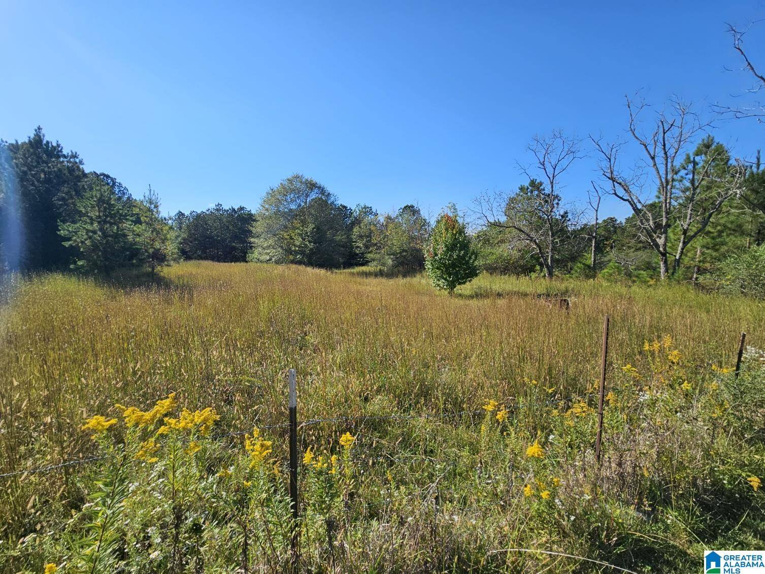Springville, AL 35146,5288 HIGHWAY 27