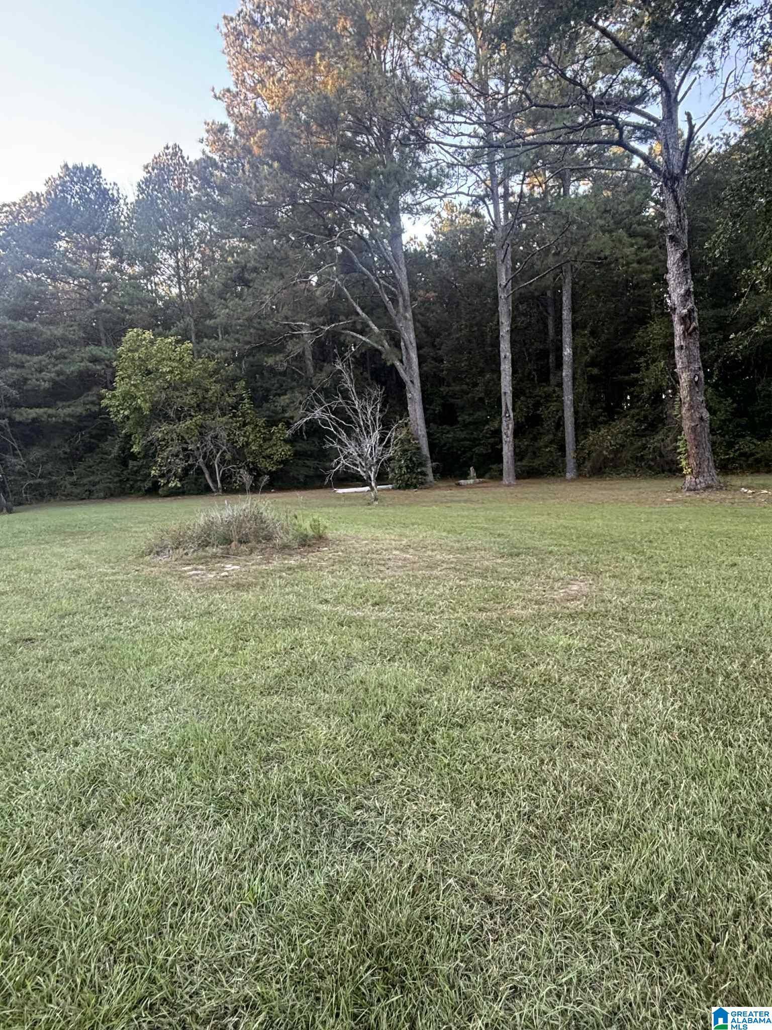 Hokes Bluff, AL 35903,3335 CADDELL CIRCLE