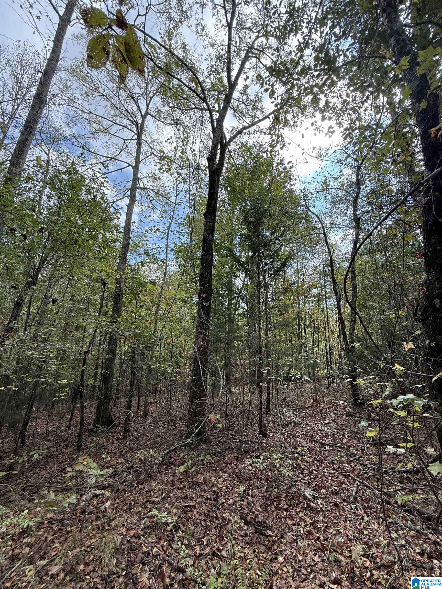 Lincoln, AL 35096,0 MUDD STREET #1