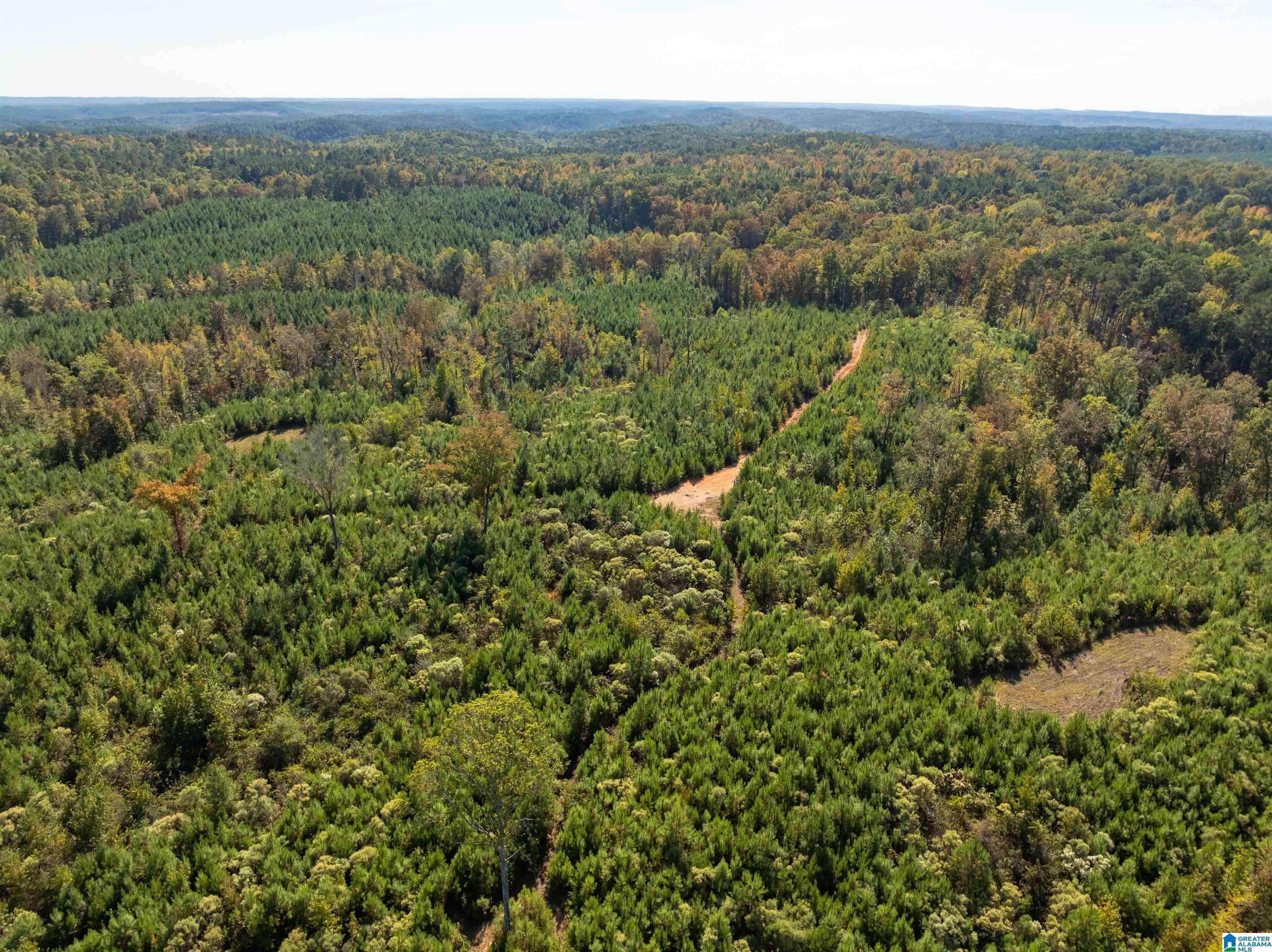 Calera, AL 35040,2599 COUNTY ROAD 86 #.