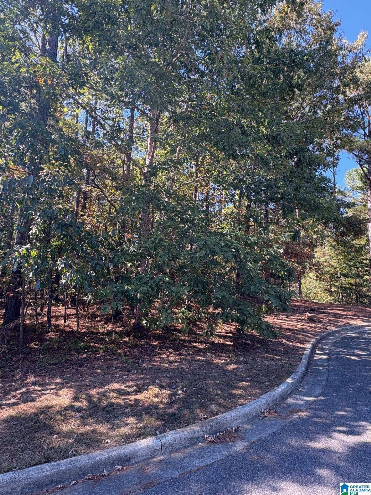 Chelsea, AL 35043,339 ALTA VISTA DRIVE #27