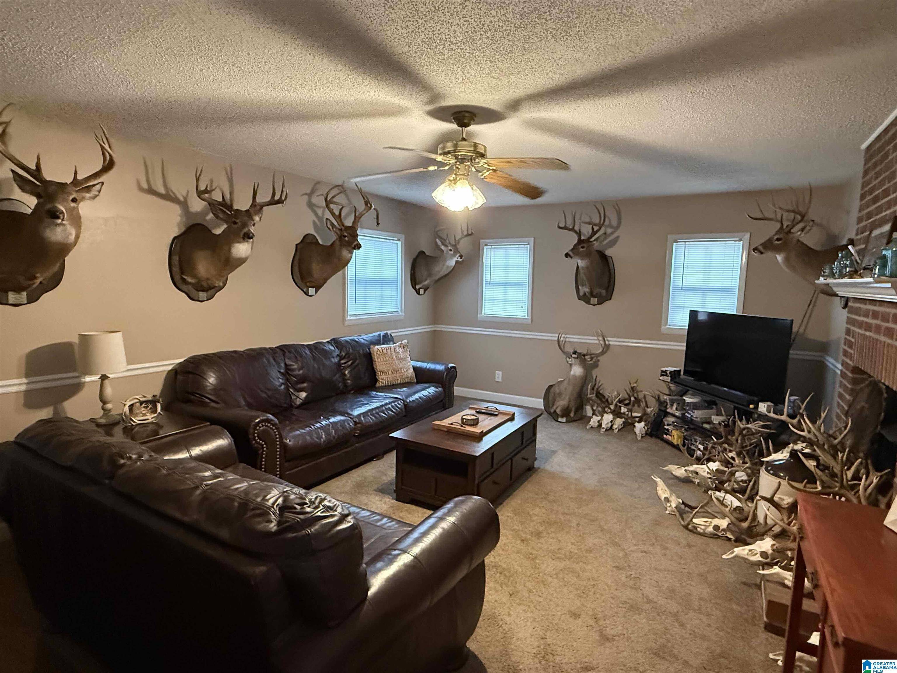 Dora, AL 35062,5075 SNOWVILLE BRENT ROAD