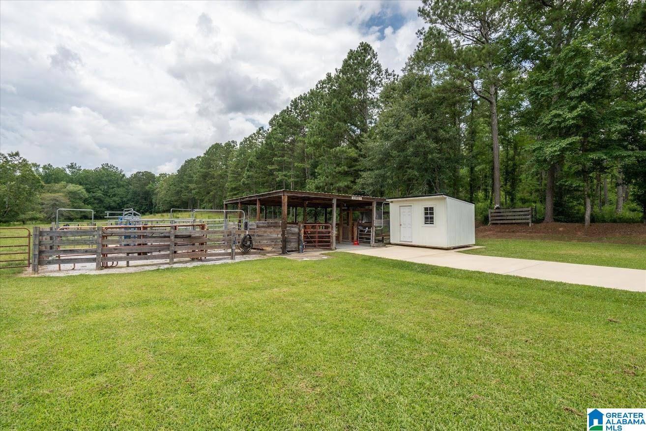 Heflin, AL 36264,00 COUNTY ROAD 19 #0