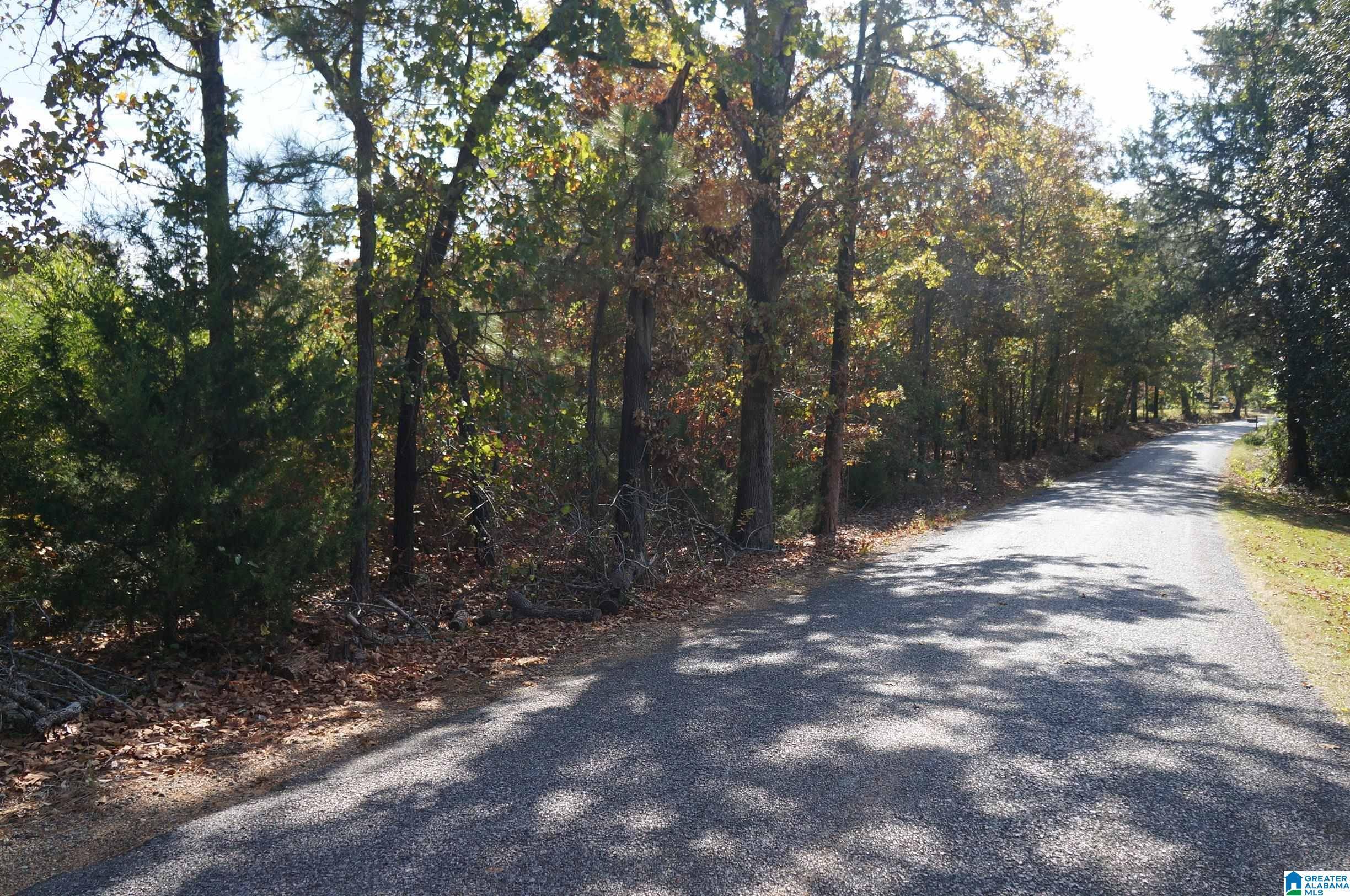 Sylacauga, AL 35150,00 FULTON GAP ROAD #0