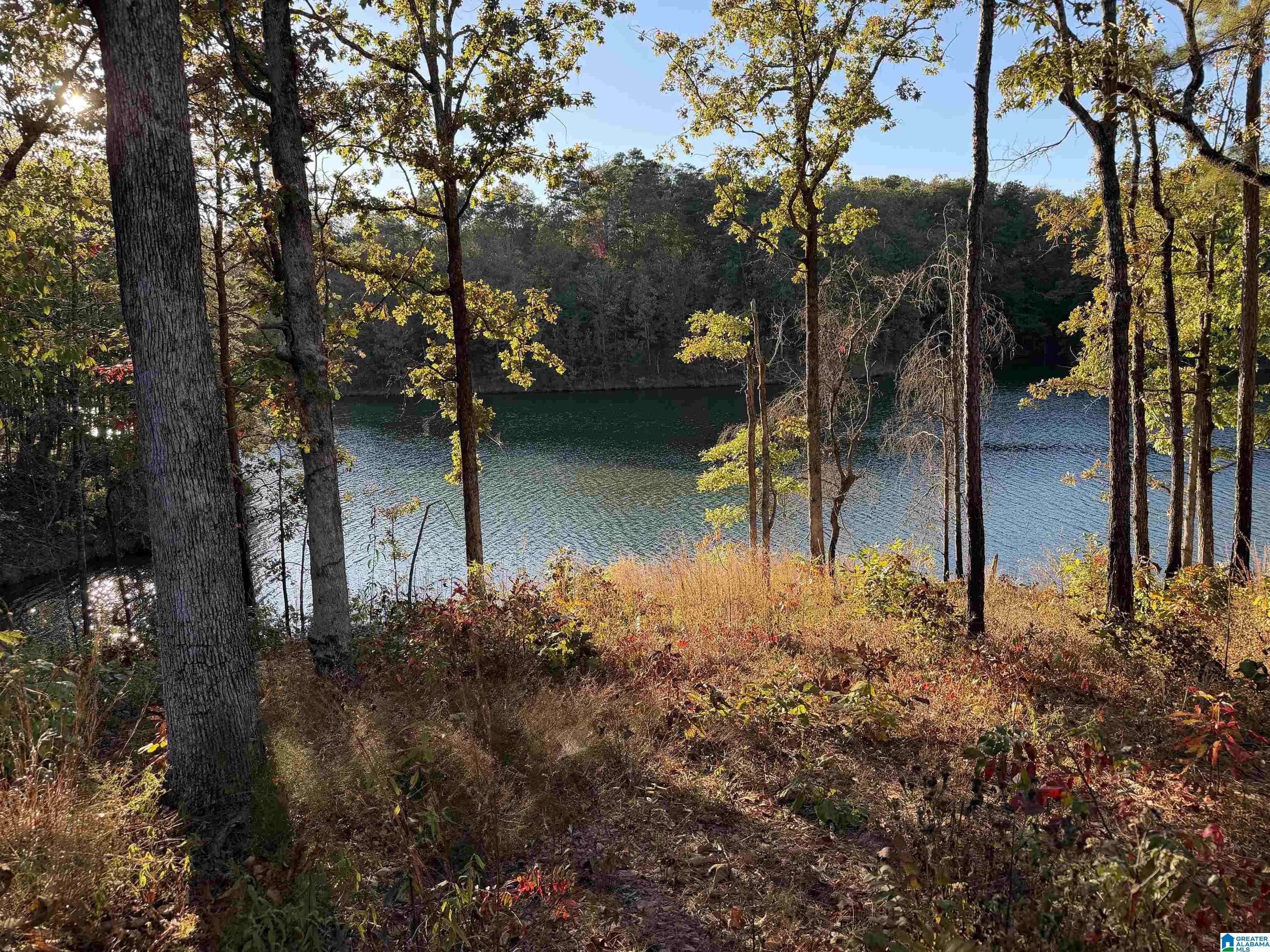 Jemison, AL 35085,0 COUNTY HIGHWAY 162 #8