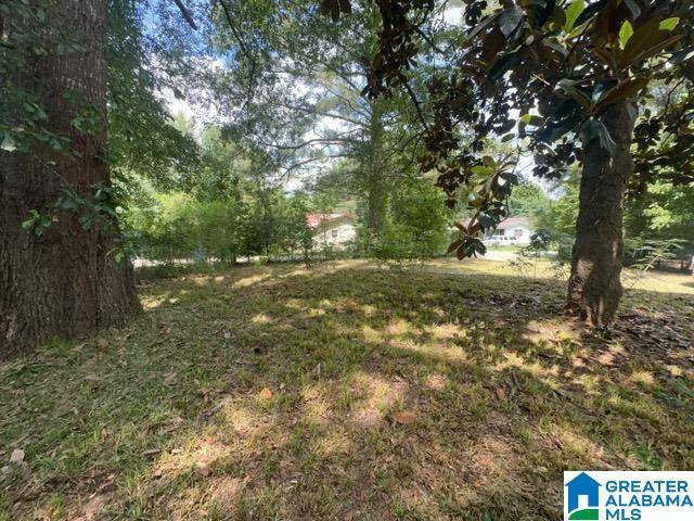 Trafford, AL 35172,148 WILLOW LANE