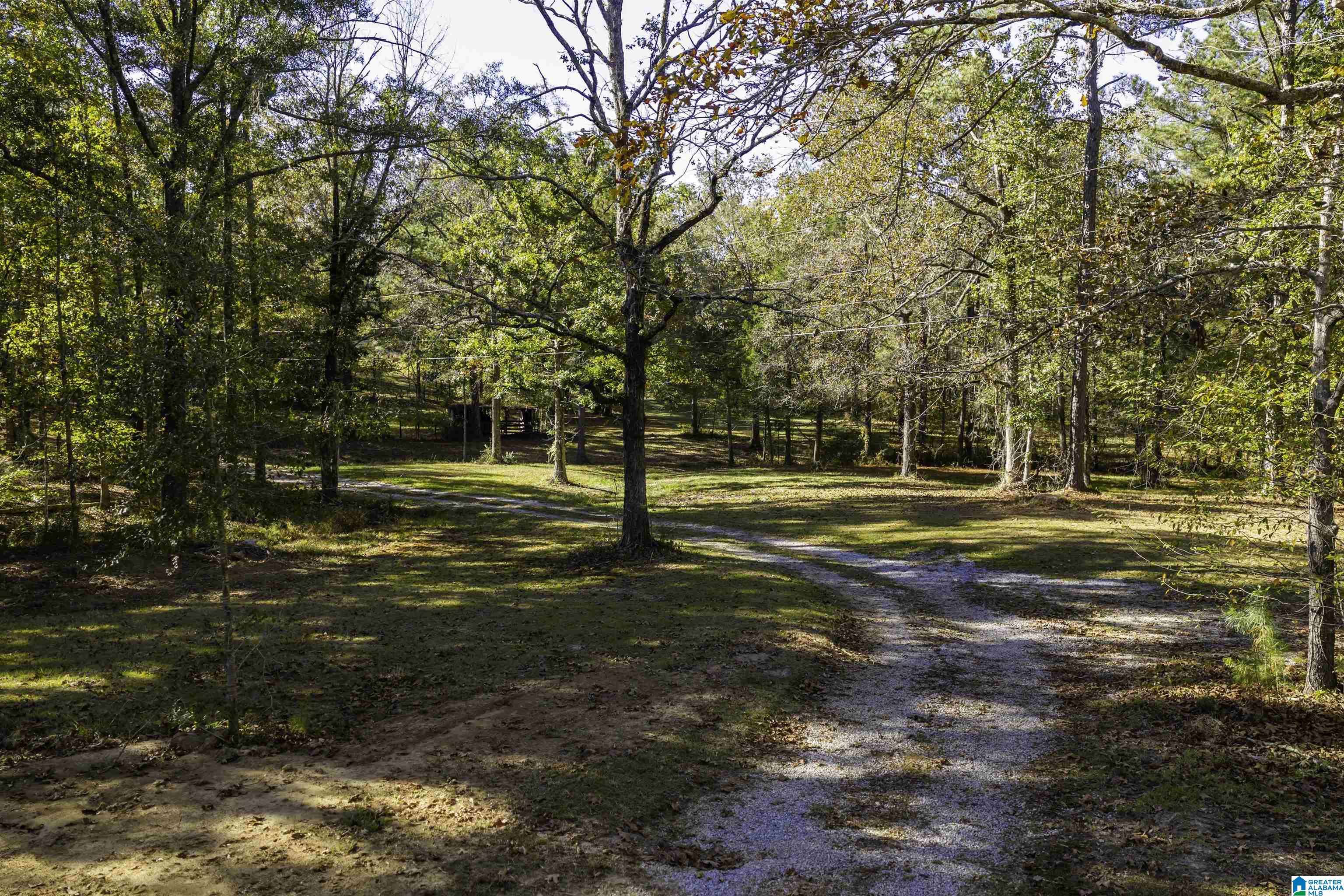 Sterrett, AL 35147,20210 HIGHWAY 55