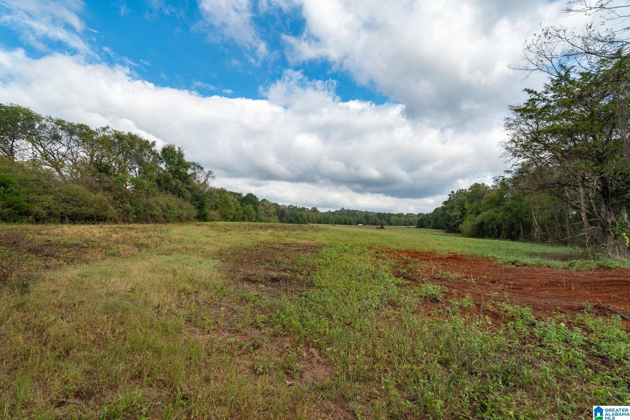 Lincoln, AL 35096,0 ALLRED ROAD #/Parcel #5